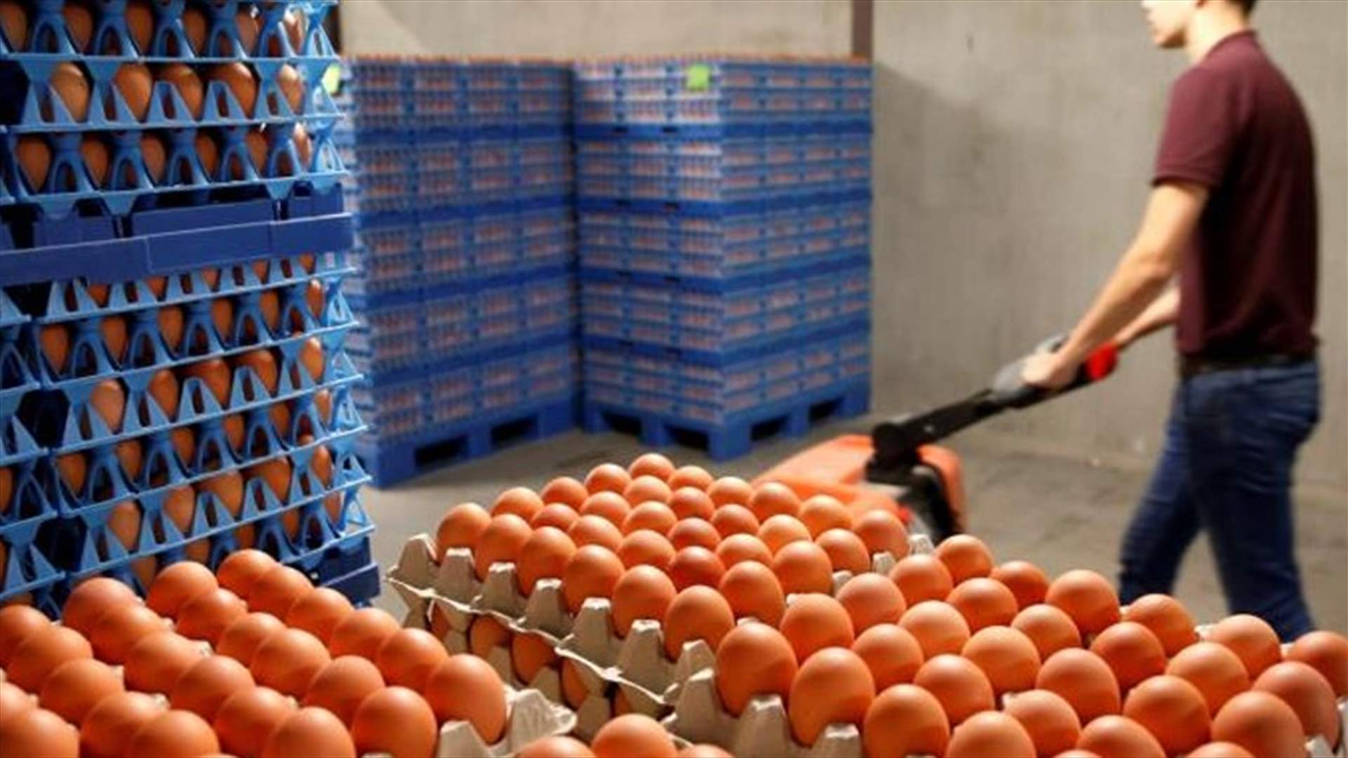 فضيحة البيض الاوروبي الملوث تصل الى ايطاليا
