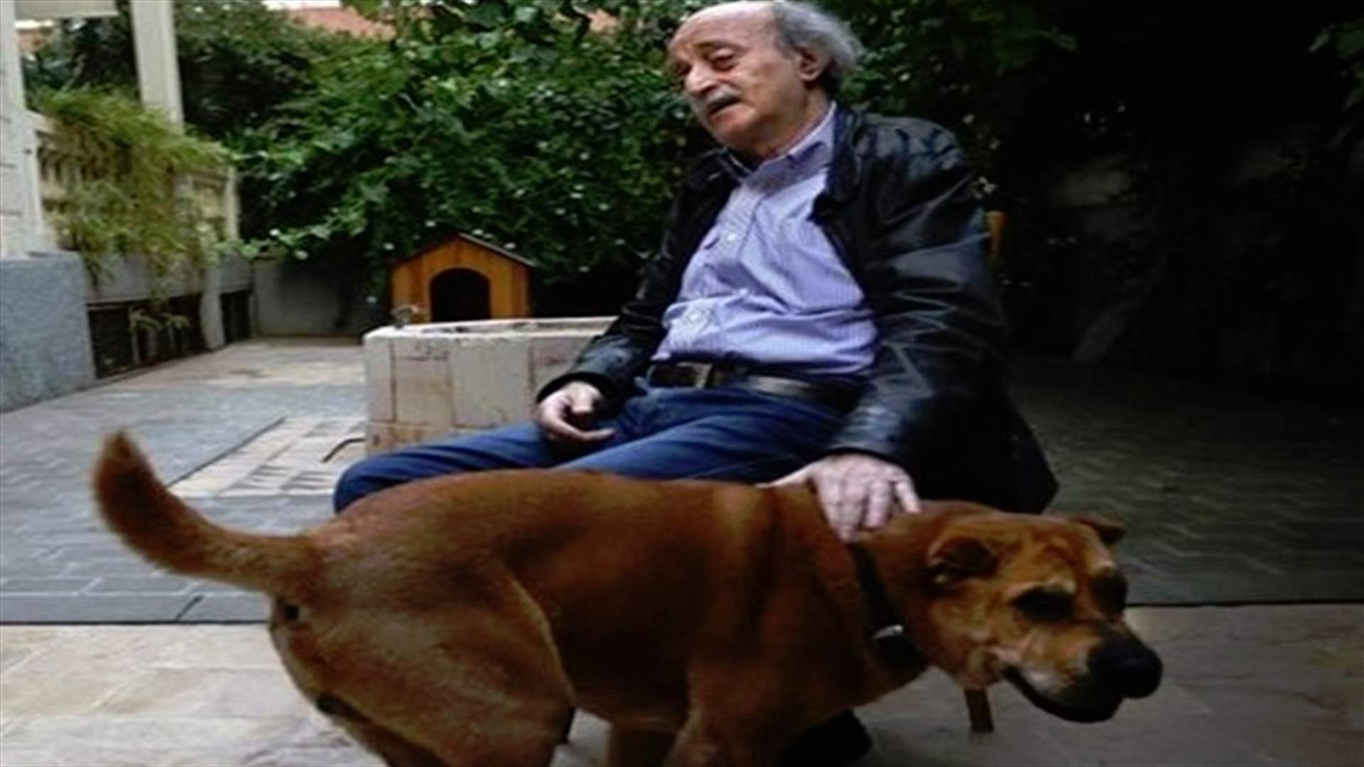جنبلاط ينشر الصورة...اوسكار في حالة حب؟