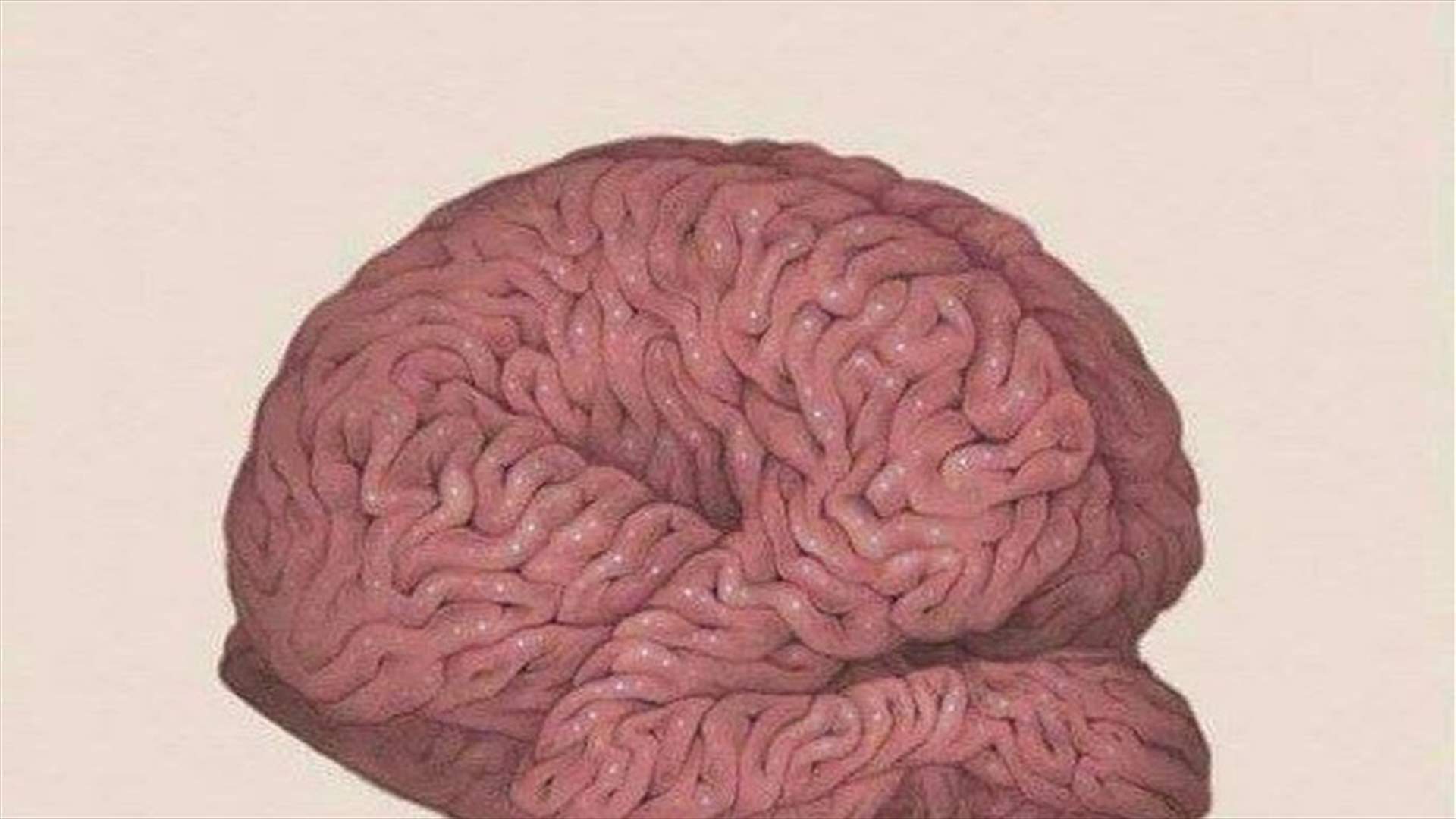 شكل دماغك عند الإرهاق...