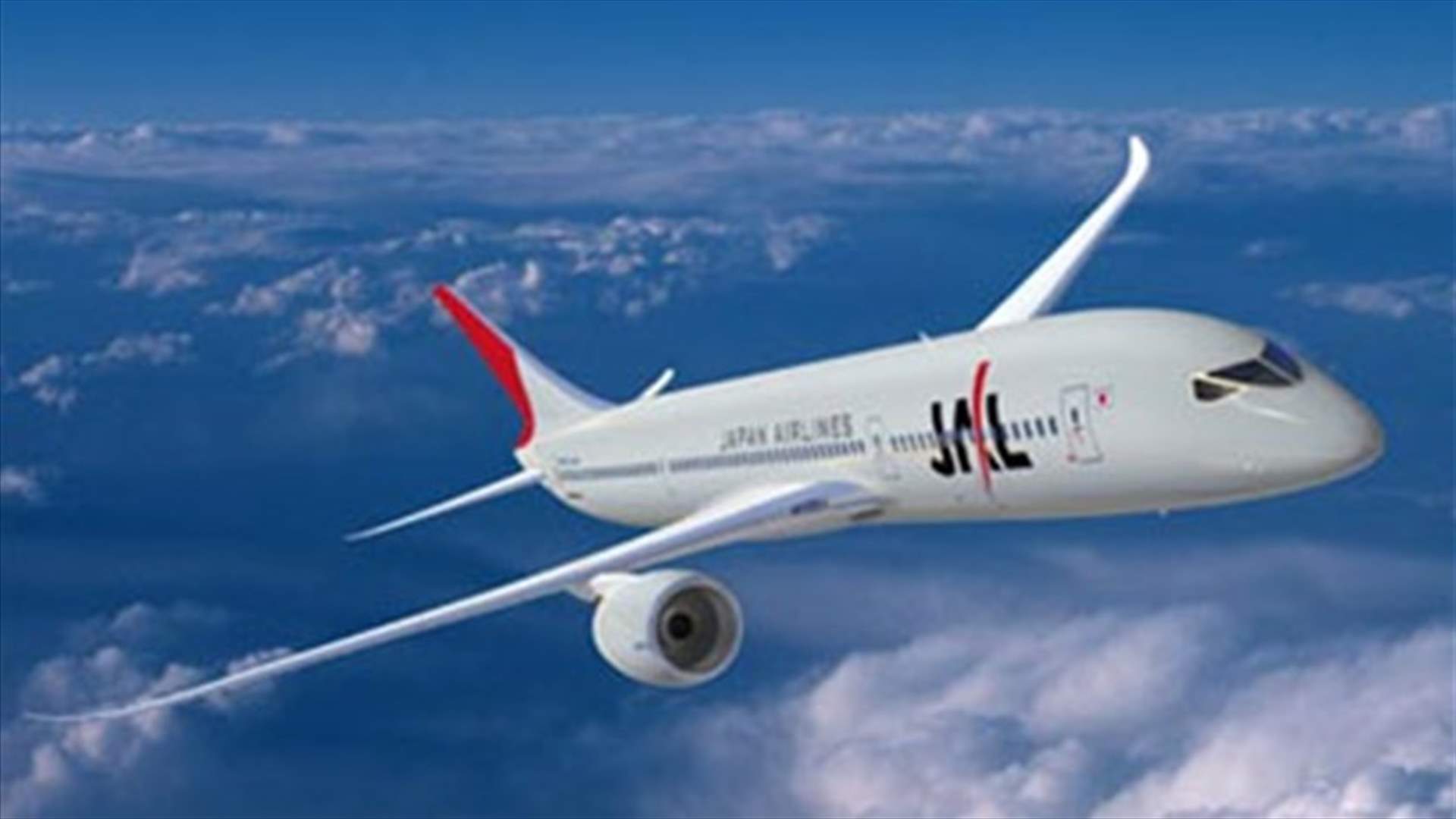 بالصورة - ماذا فعل طائر بهذه الطائرة؟