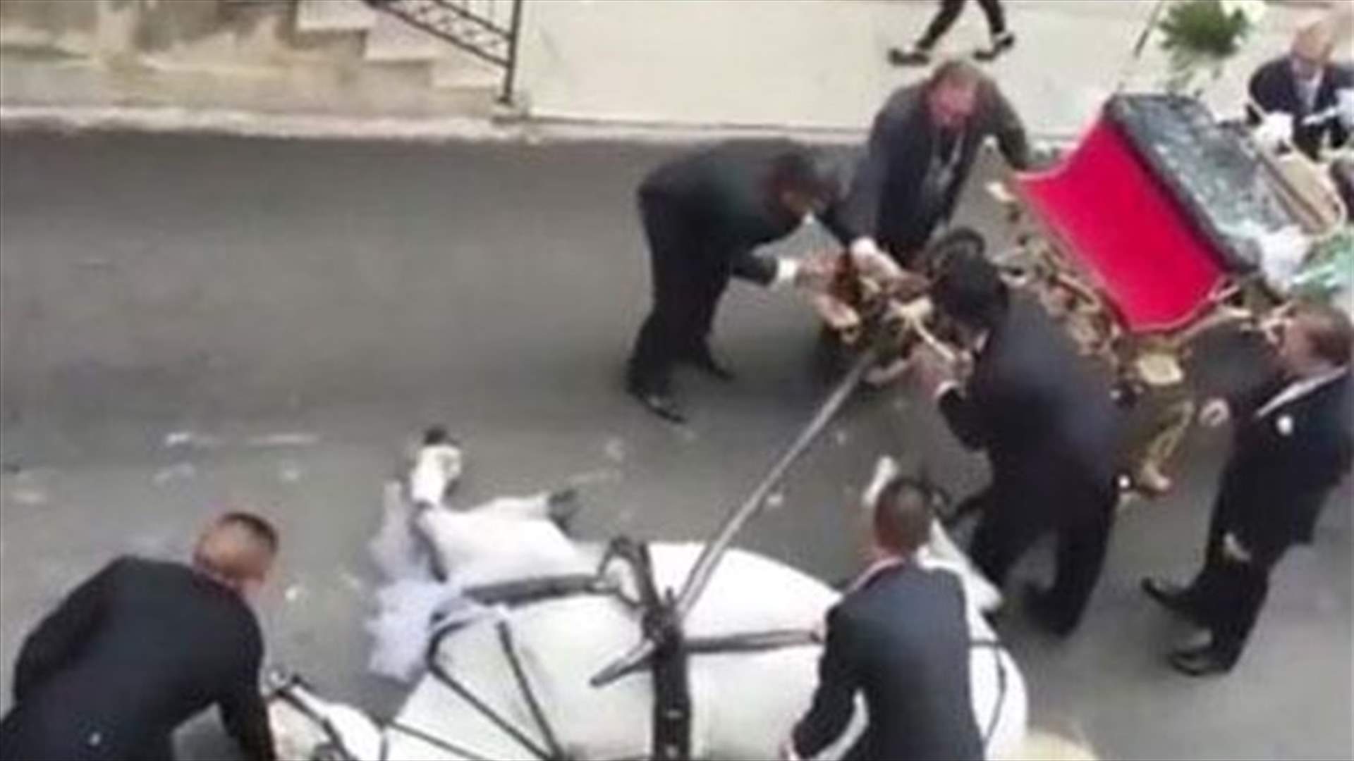 بالفيديو - مشهد مأساوي خلال حفل زفاف... بسبب حصان!