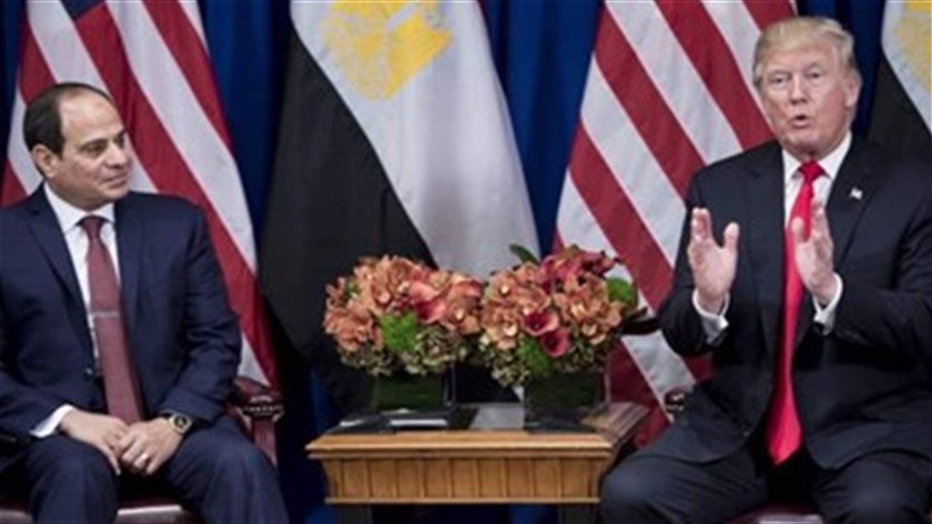 US will consider resuming halted military aid to Egypt -Trump