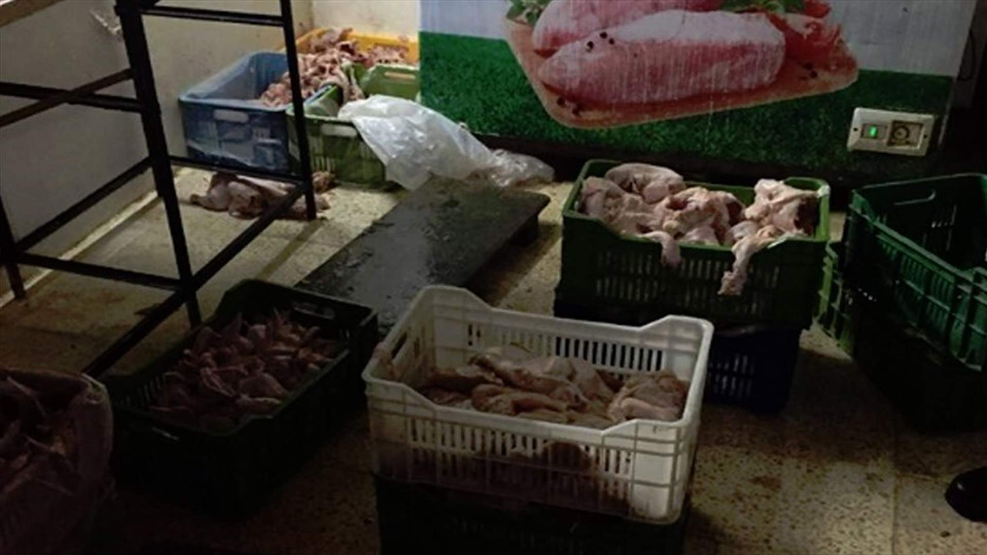 Rotten chicken found in Bekaa town of al-Marj