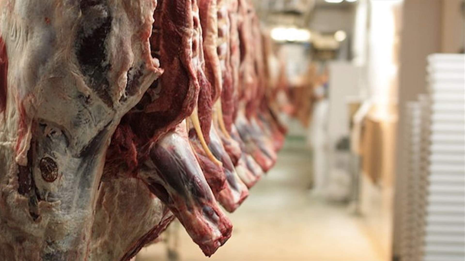 لحوم مهربة من سوريا...في طرابلس