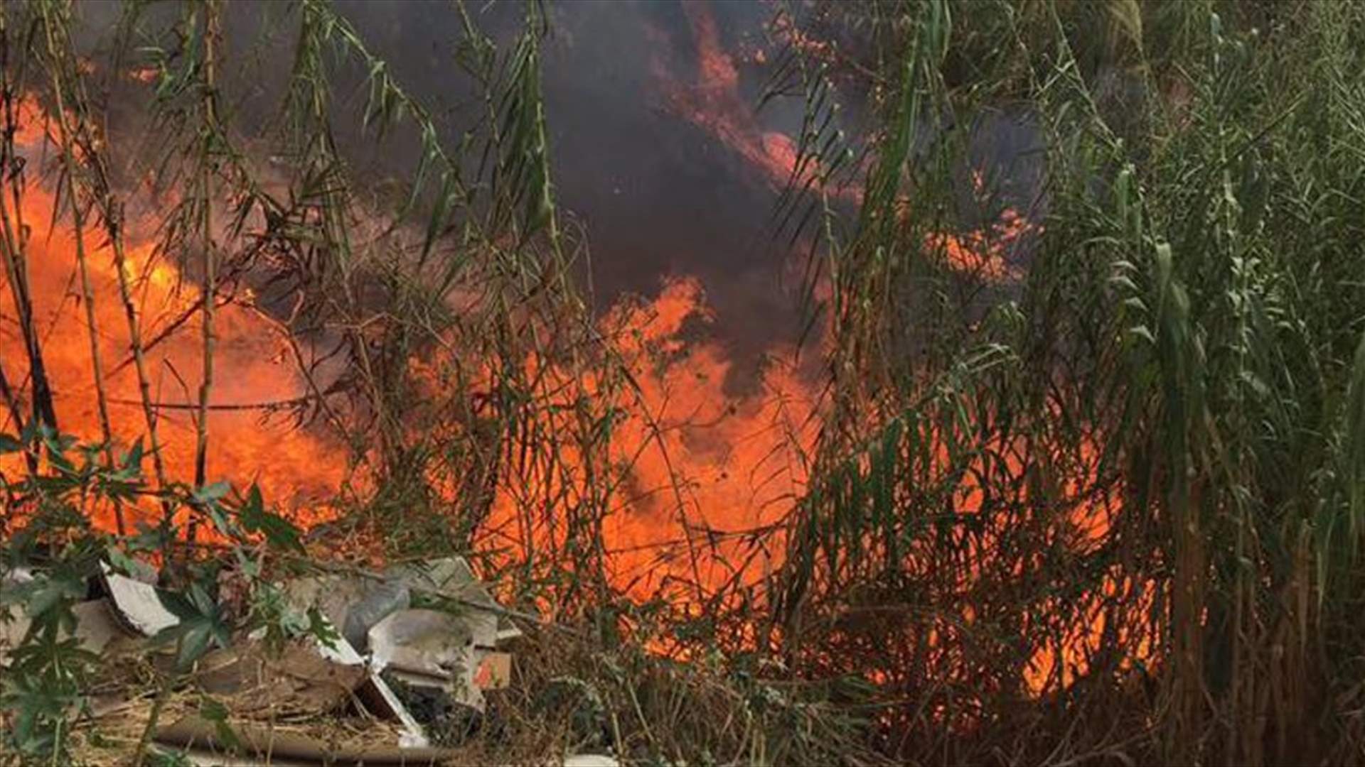 حريق أعشاب بمحاذاة أوتوستراد العقيبة...