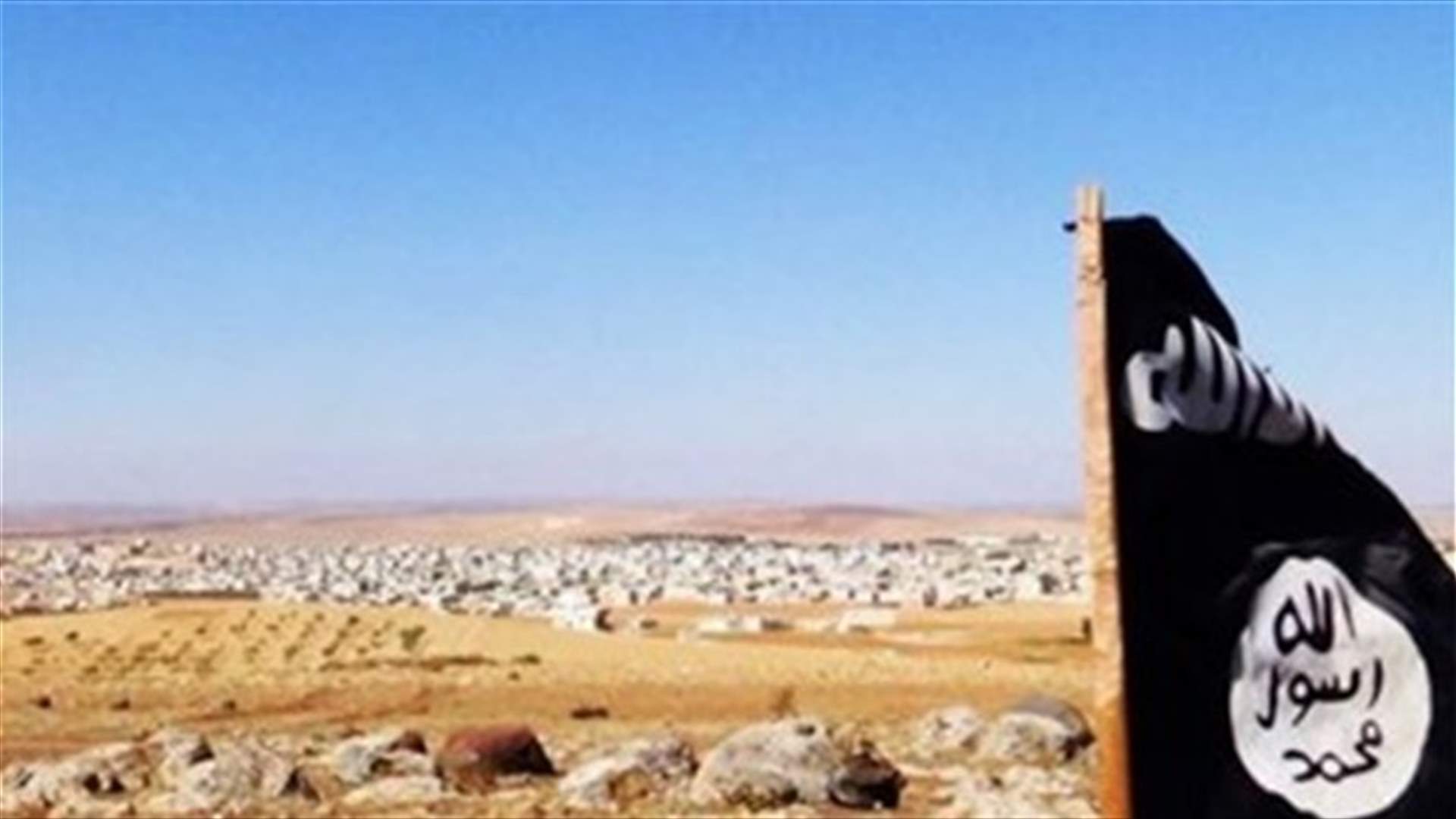 Syrian Observatory: Islamic State captures town from government