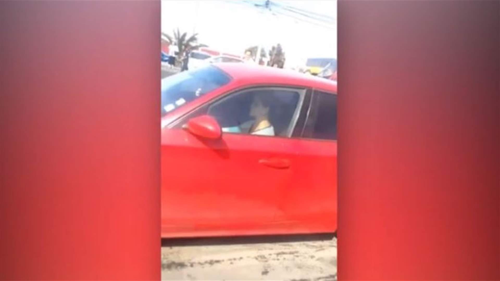 بالفيديو – كشفت خيانة زوجها "بالجرم المشهود" ففجرت غضبها!