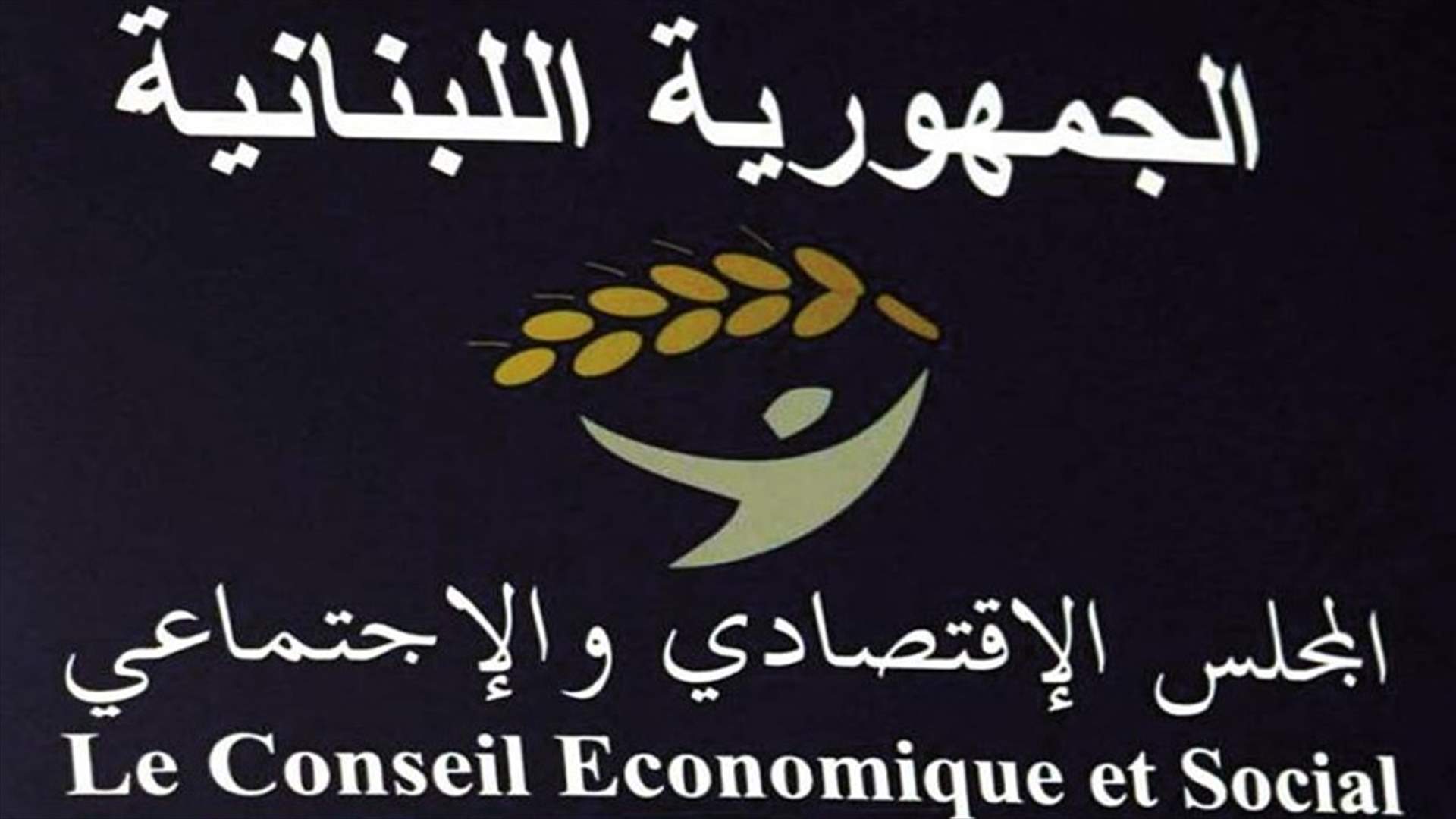 بالاسماء- اليكم اعضاء المجلس الاقتصادي الاجتماعي