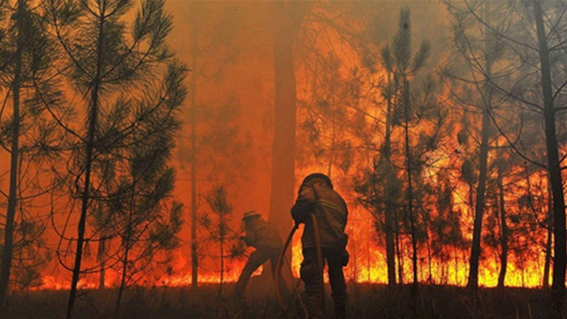 Portugal&#39;s interior minister resigns after deadly wildfires