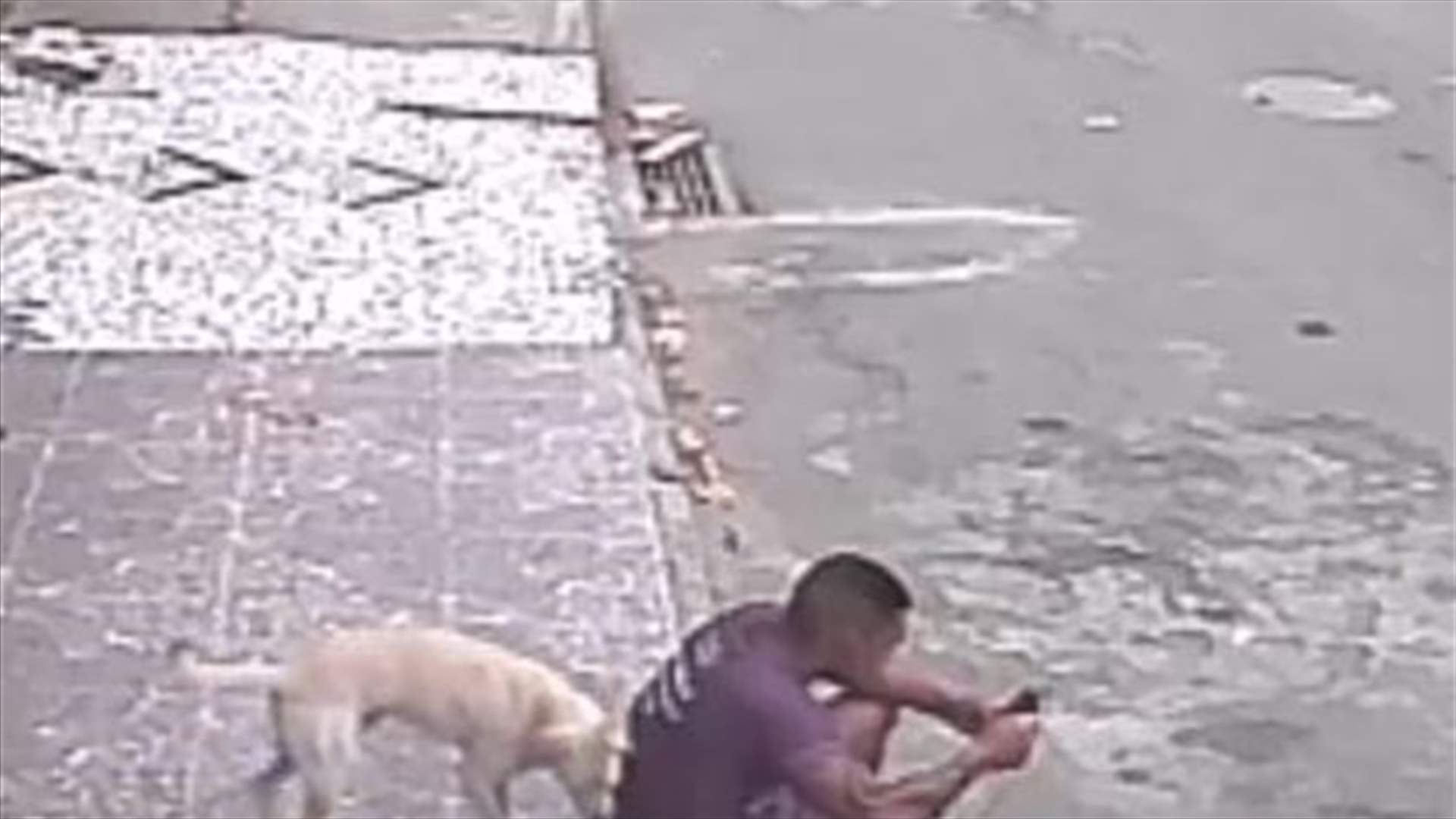 بالفيديو- كلب يُفاجئ شاباً على الرصيف... تبوّل عليه وهرب!