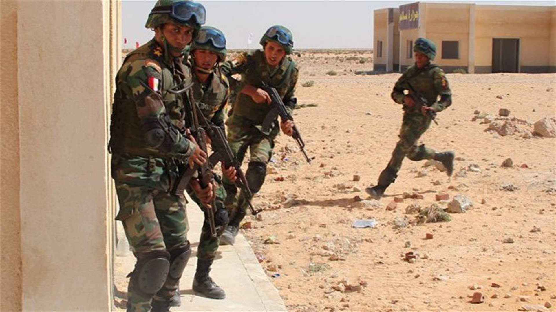 Egypt forces kill 12 militants in western desert clashes - state news agency