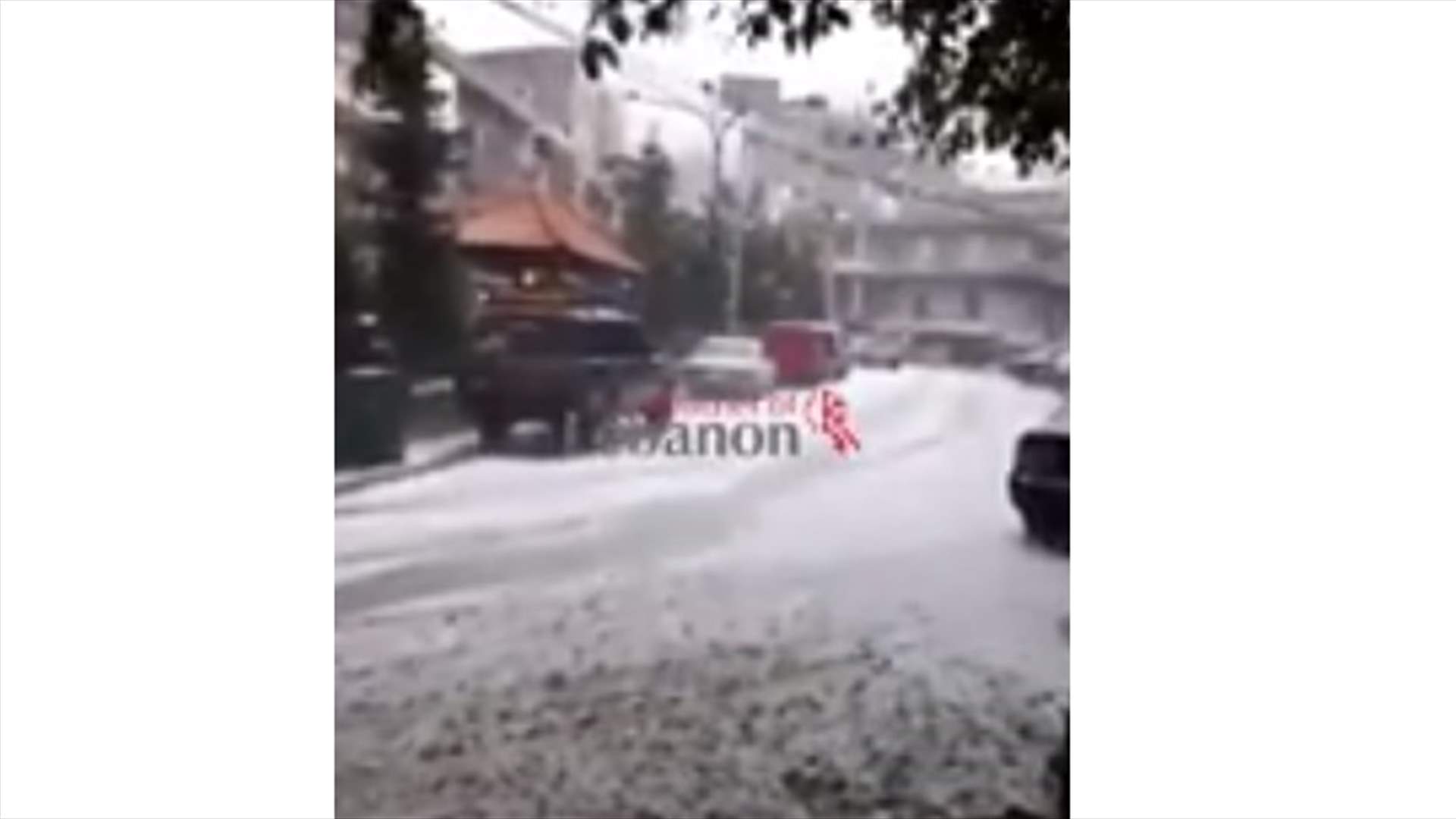 بالفيديو - البرد يغطي الضنية