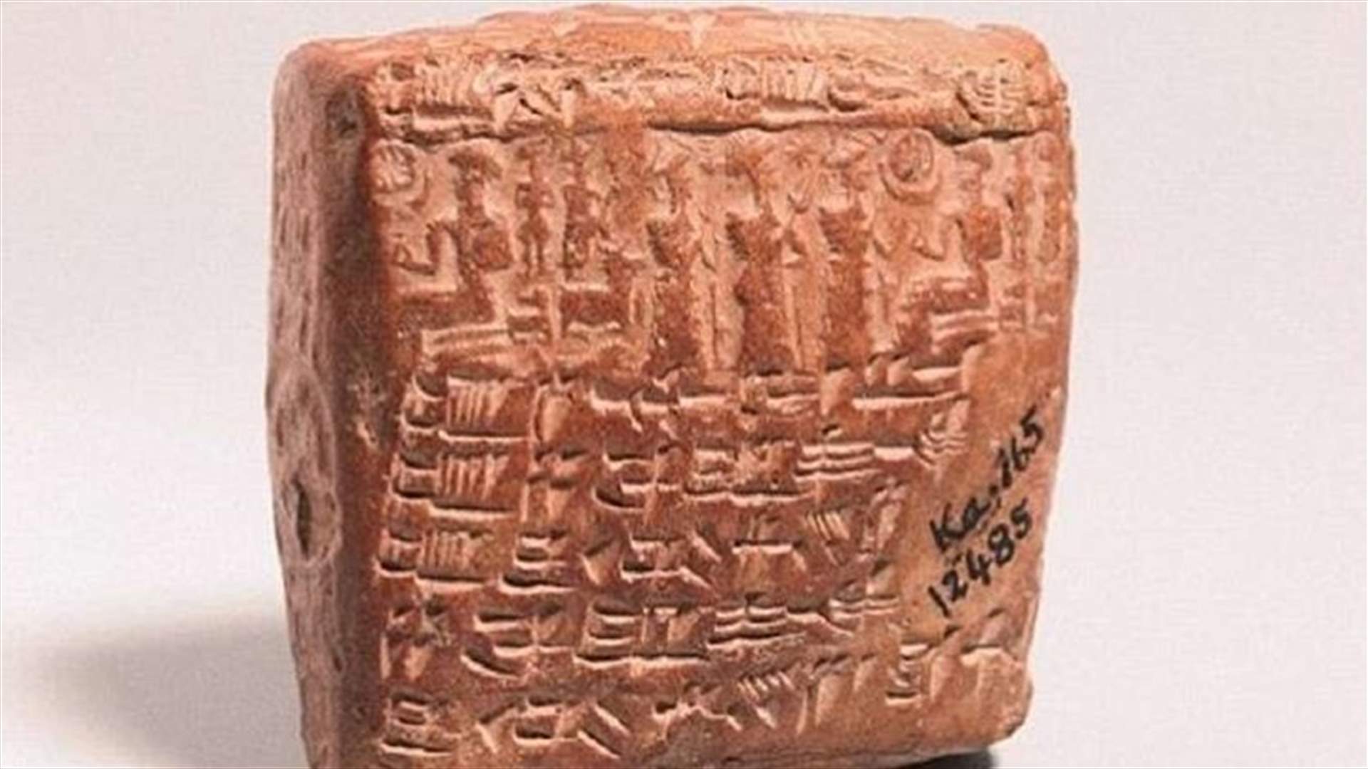 بالصورة - أول تشخيص للعقم
