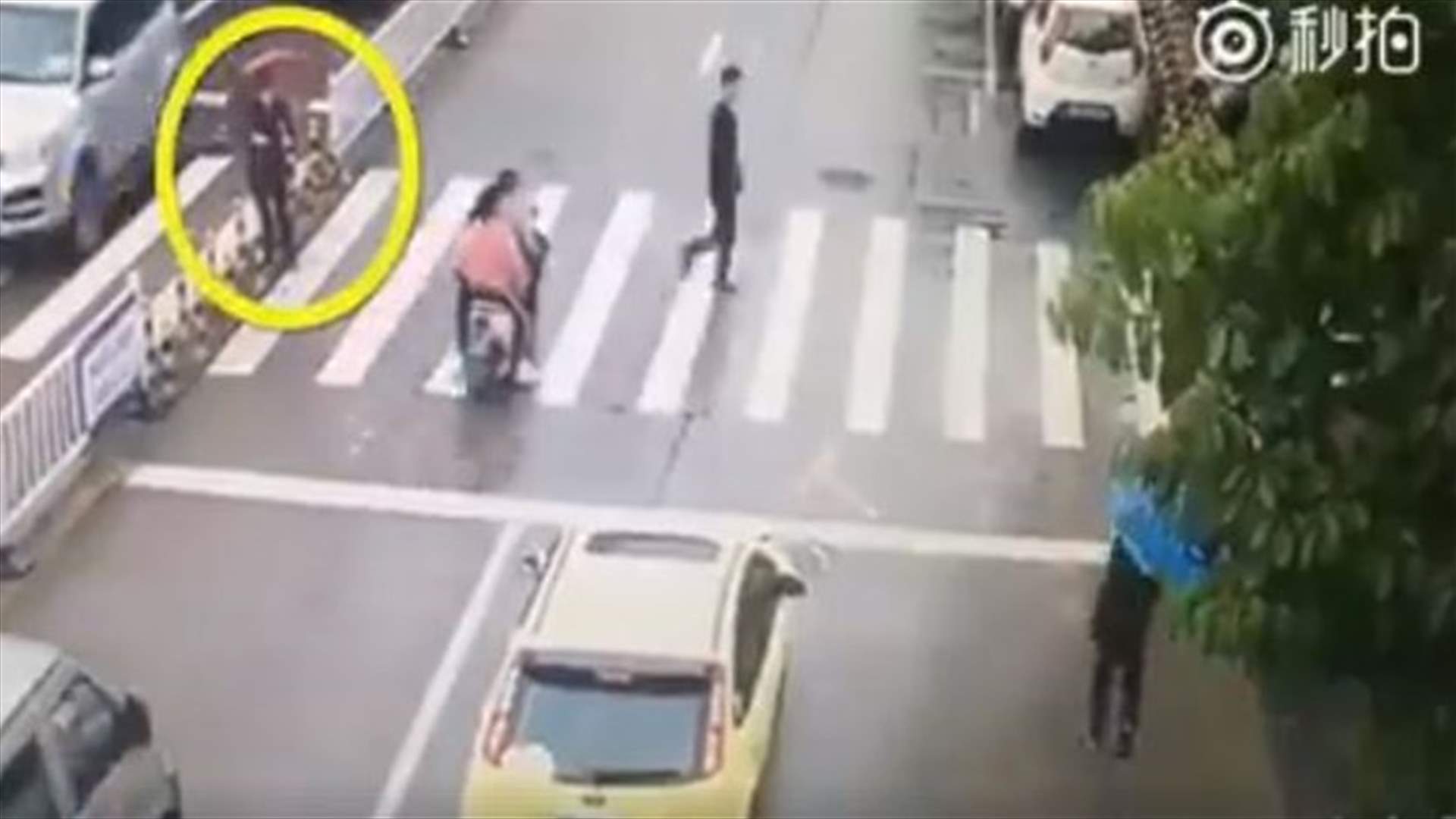بالفيديو-سائق يوقف حركة المرور لمساعدة مسنة