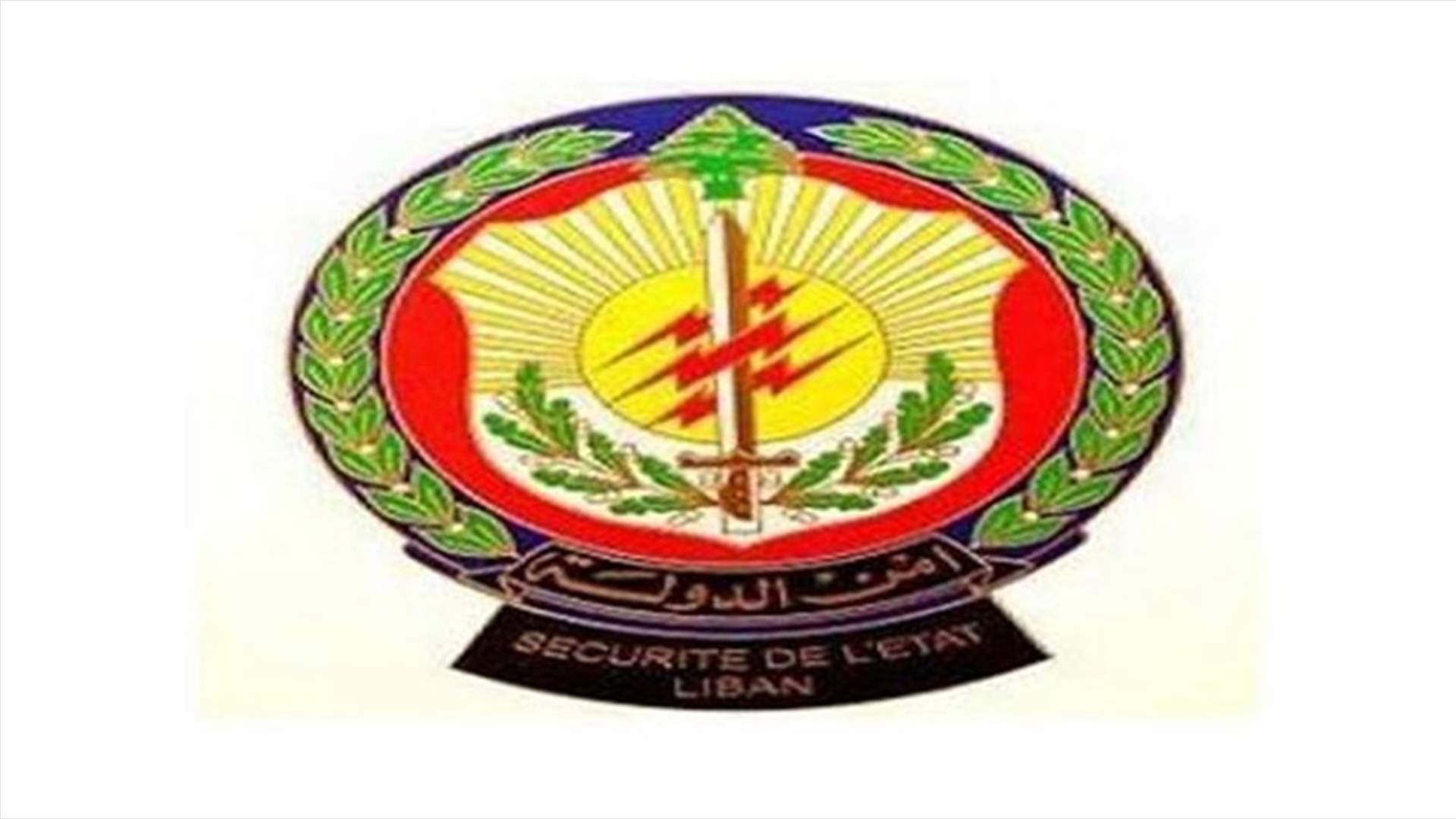 لبنانية تدير شبكة تهريب أشخاص الى سوريا