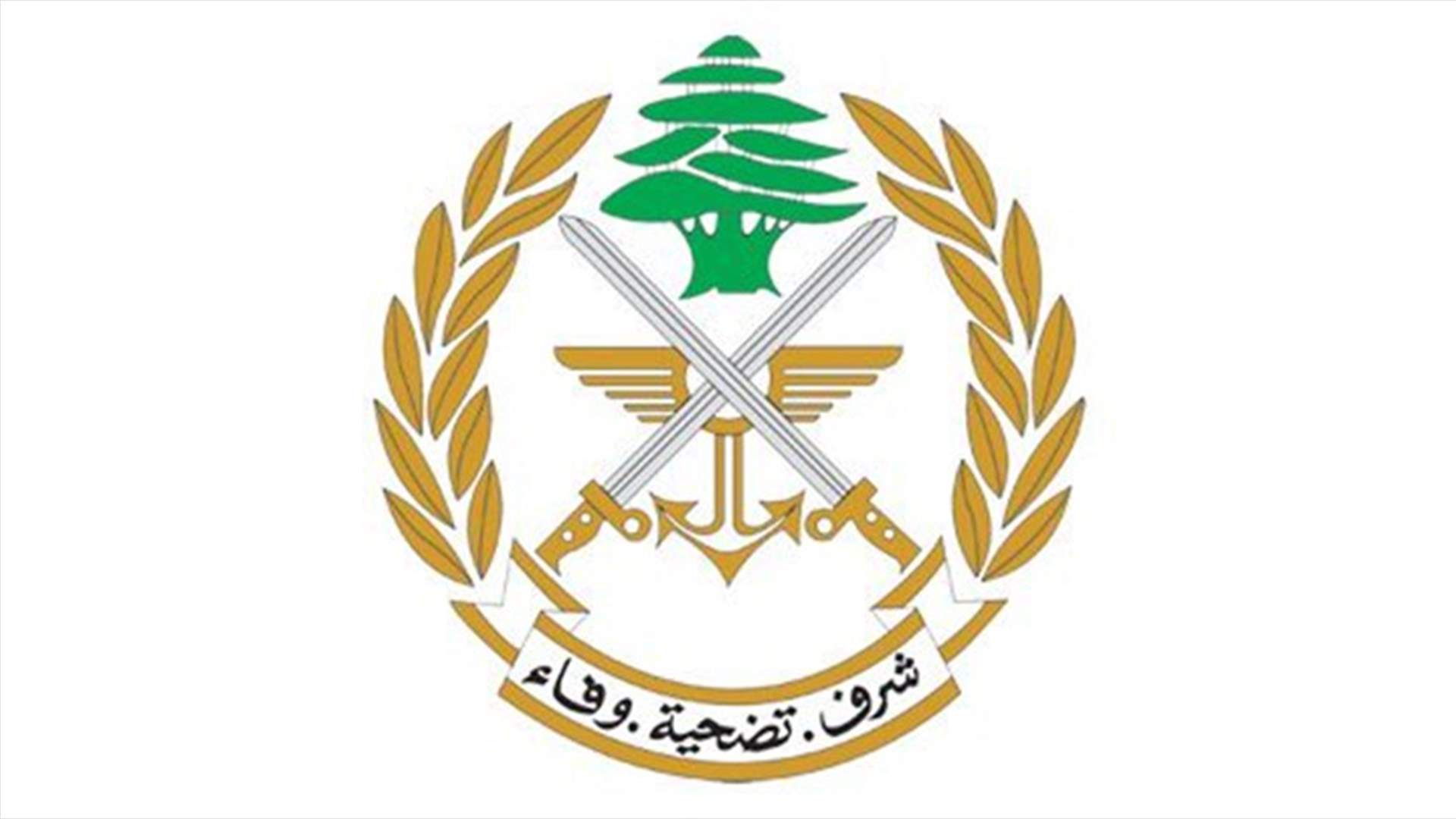 مداهمة لإستخبارات الجيش في عدوس البقاعية... وضبط 174 غراما من حبوب الكبتاغون