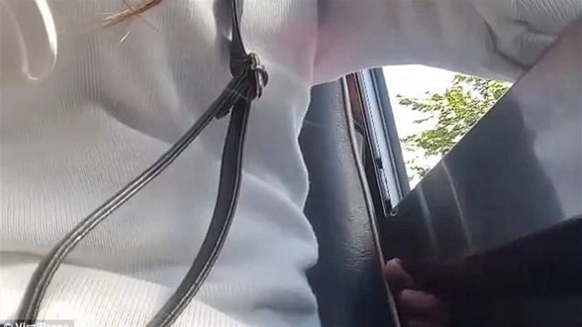 بالفيديو – تحرش بها في الباص... إليكم ما فعلته!