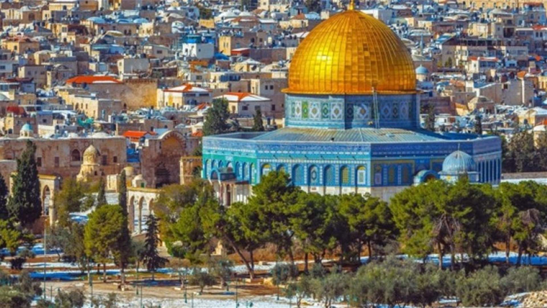 نجوم لبنان يردّون على ترامب: "القدس عربيّة".. إليكم أبرز المواقف
