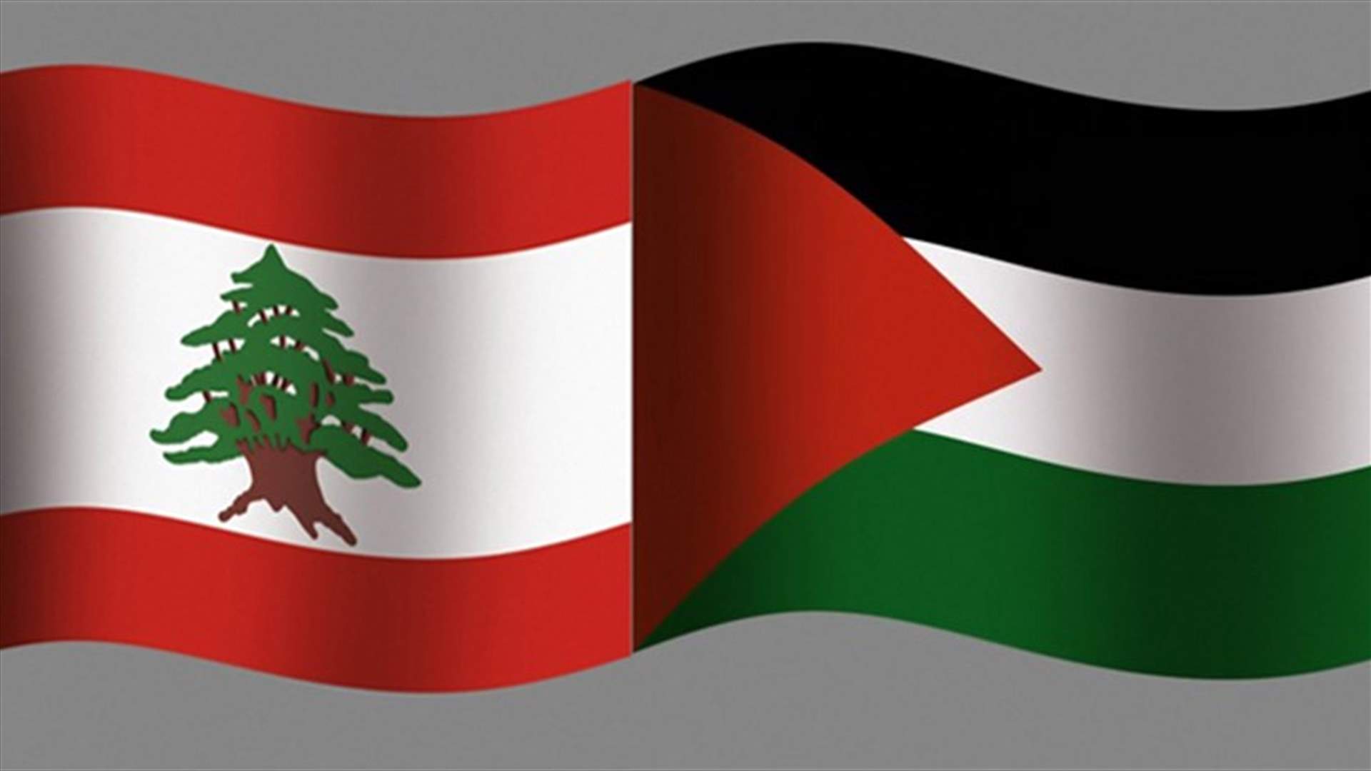 في الساعات المقبلة...هكذا سيتضامن لبنان مع فلسطين