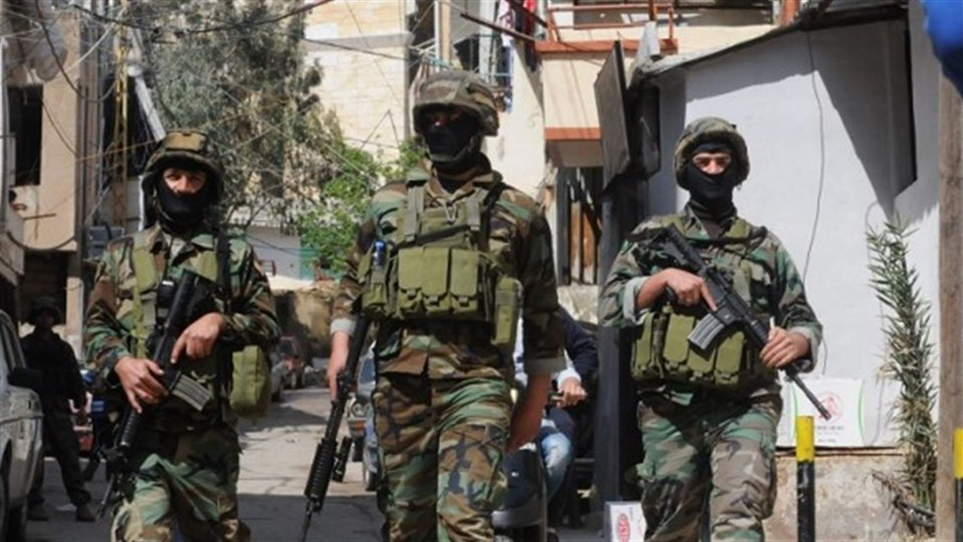 ضبط 800 كلغ من مادة حشيشة الكيف في بلدة الحمّودية البقاعيّة