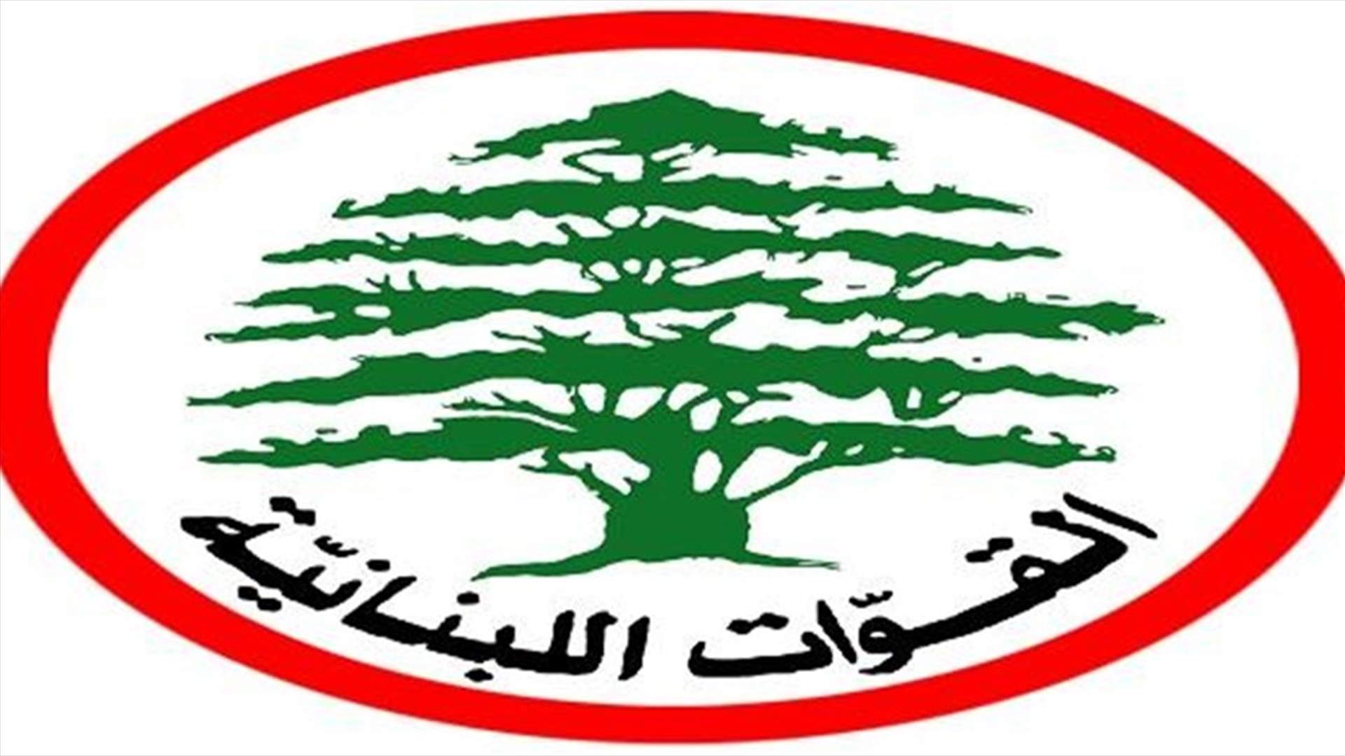 مصادر القوات لـ "الجمهورية": هناك جولات وجولات غير معلنة