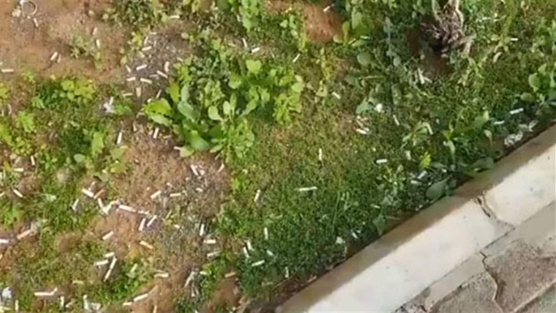 بالفيديو - اعقاب السجائر المزروعة امام قصر العدل في بعبدا