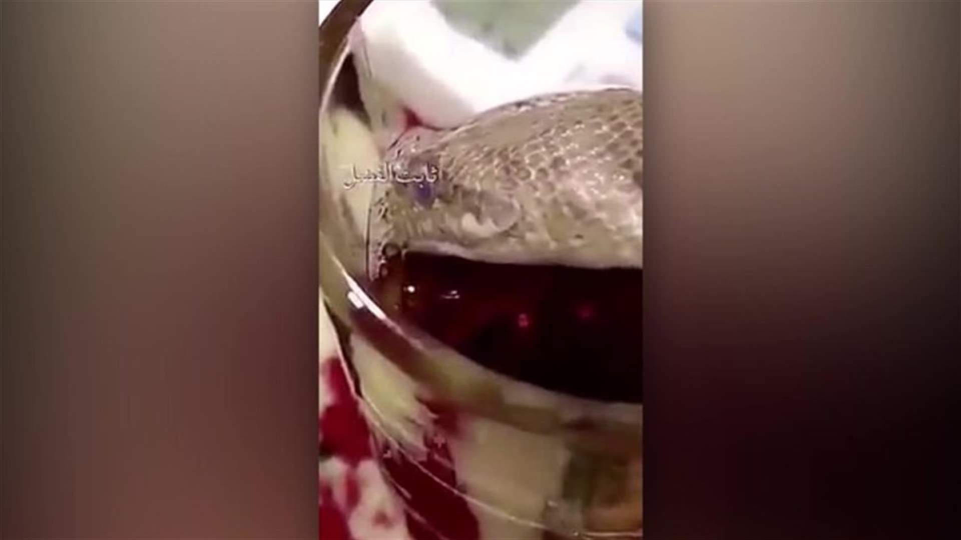 فيديو صادم- سعودي يُروّض أفعى على شرب الشاي... من الكوب!