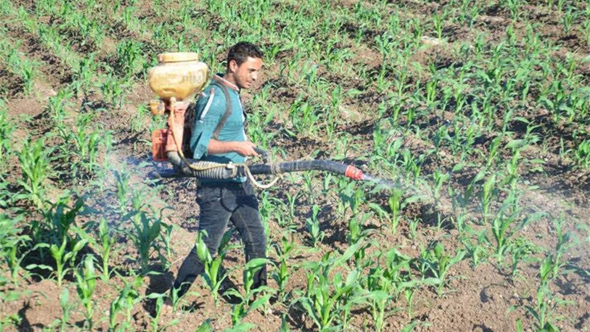 توضيح من لجنة الادوية الزراعية حول الادوية المسرطنة