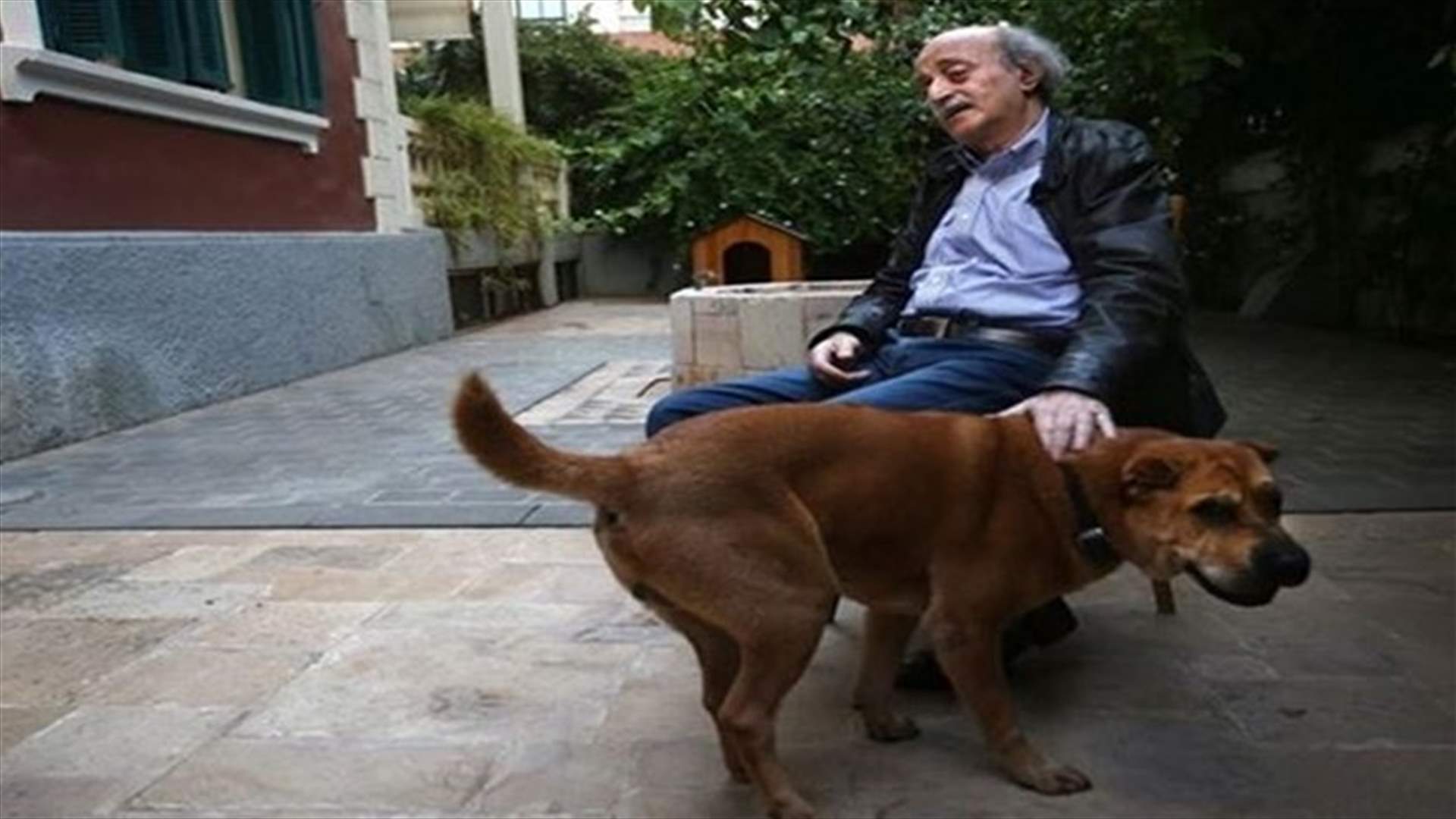جنبلاط: تسميم الكلاب دليل تخلف وجهل