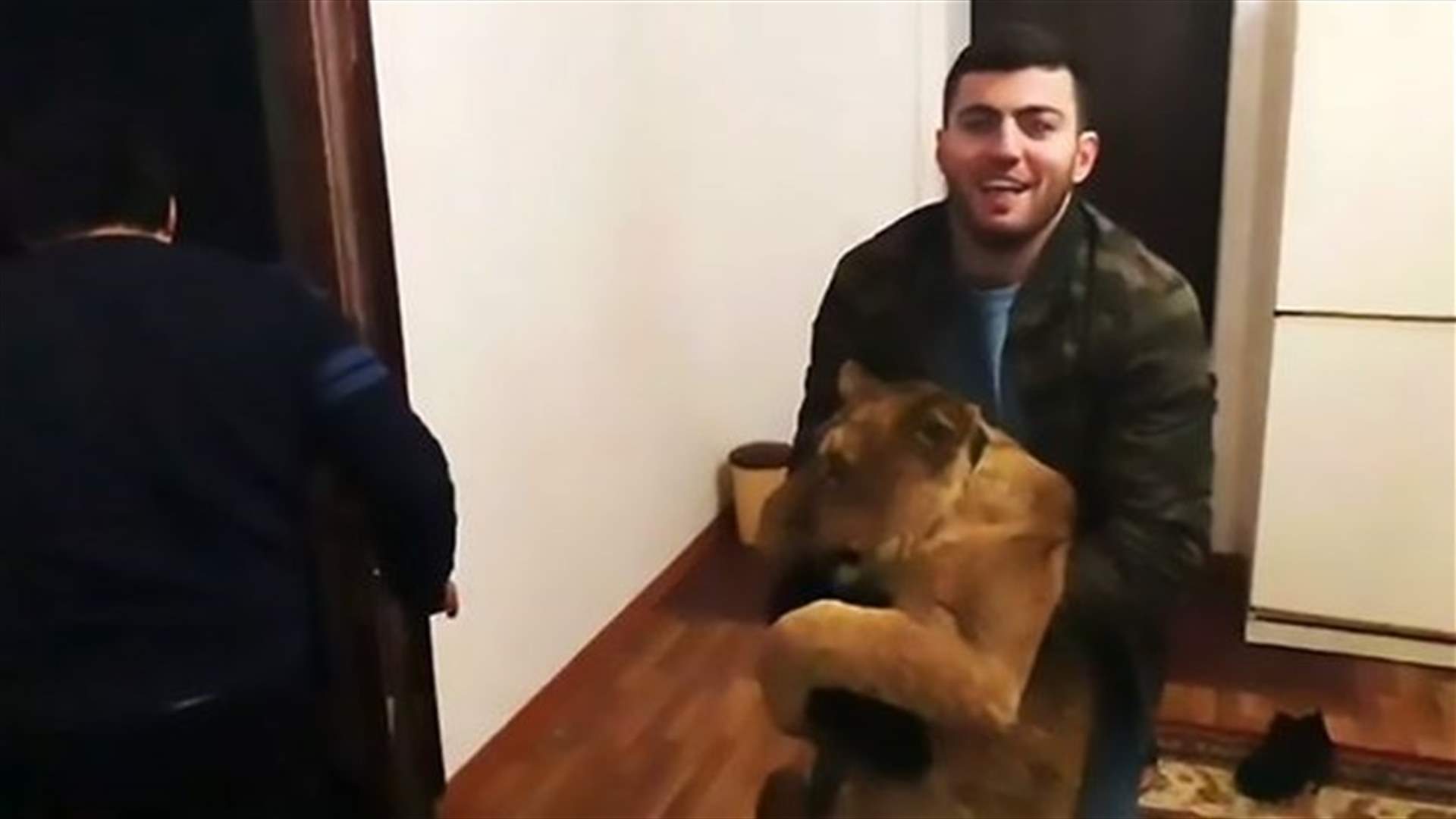 بالفيديو - استيقظوا ليجدوا حيوانات مفترسة في أسرتهم... هل هذا المقلب الأسوأ على الإطلاق؟