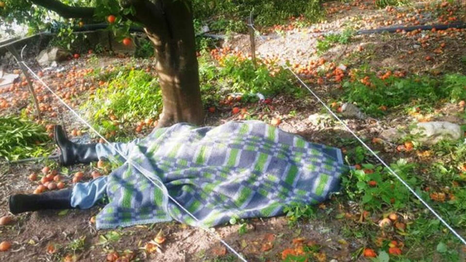 العثور على جثة داخل بستان في العباسية