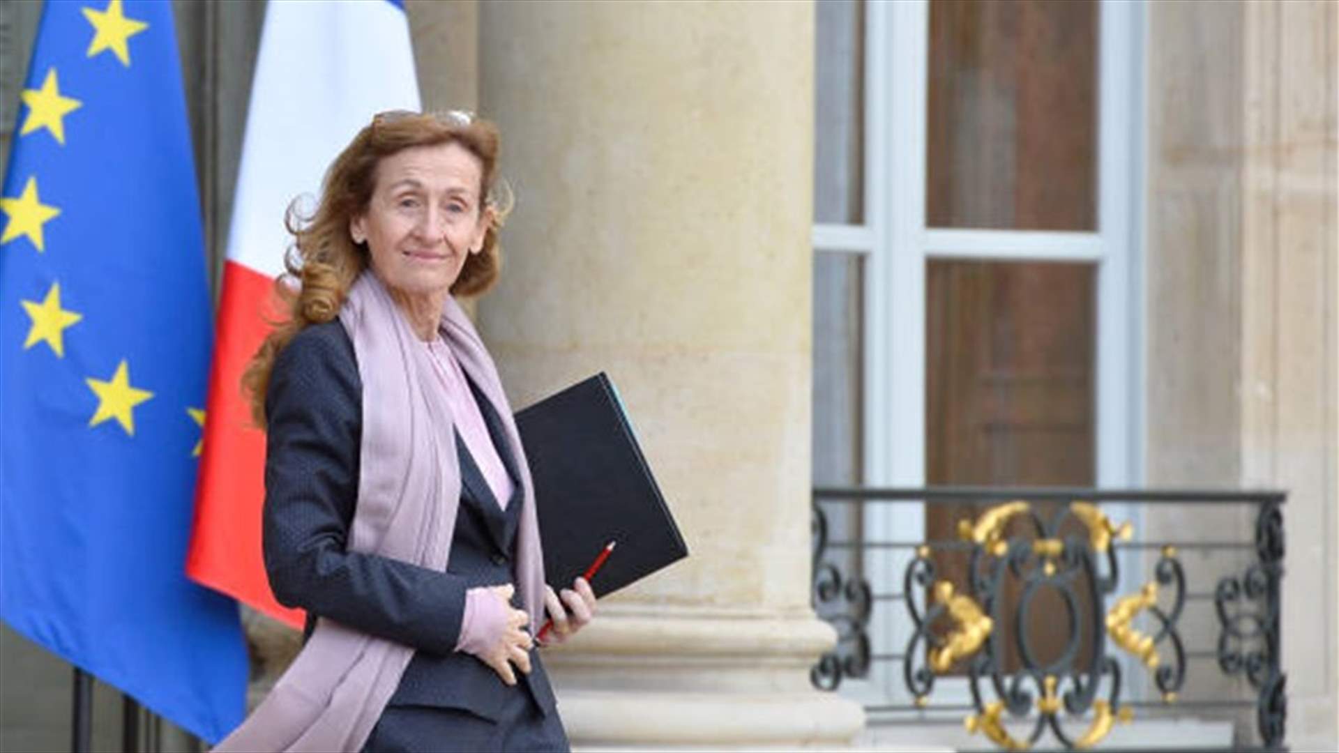 France would intervene if French jihadist faced death penalty in Iraq or Syria -minister