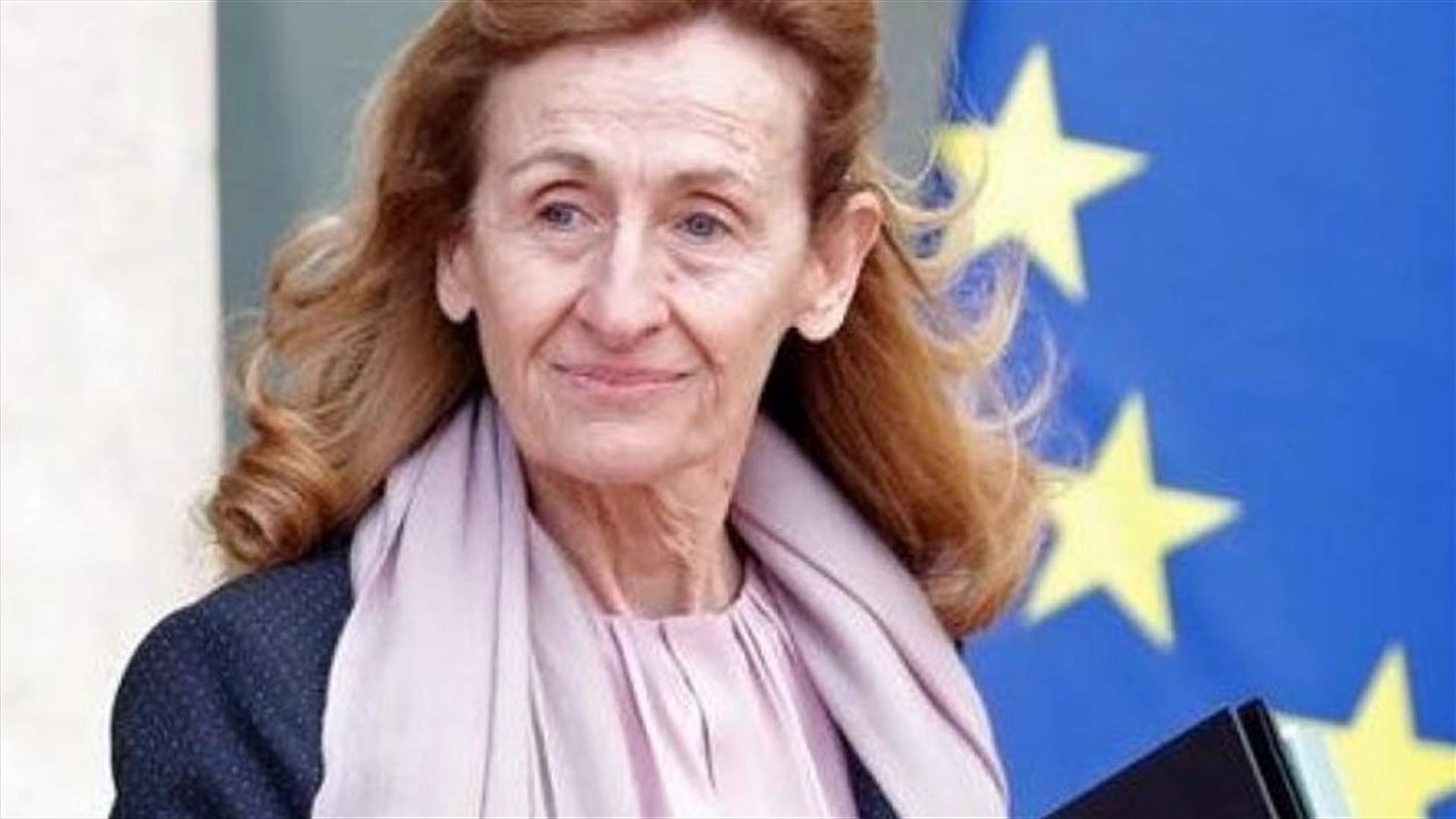 فرنسا ستتدخل إذا حُكم على أي متشدد فرنسي بالإعدام في العراق أو سوريا