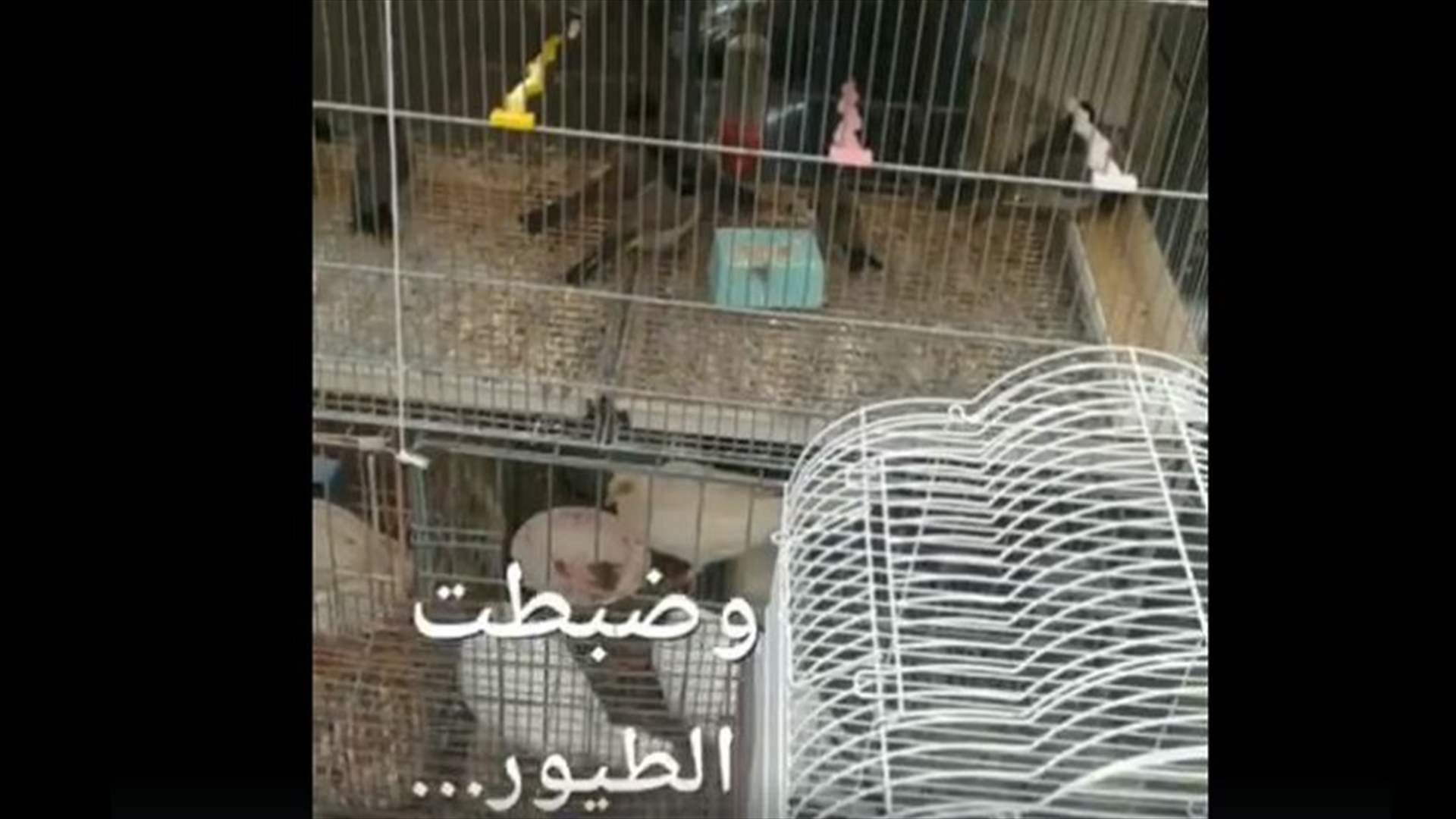 بالفيديو- قوى الأمن تحرر طيوراً برية ونادرة من سوق الأحد
