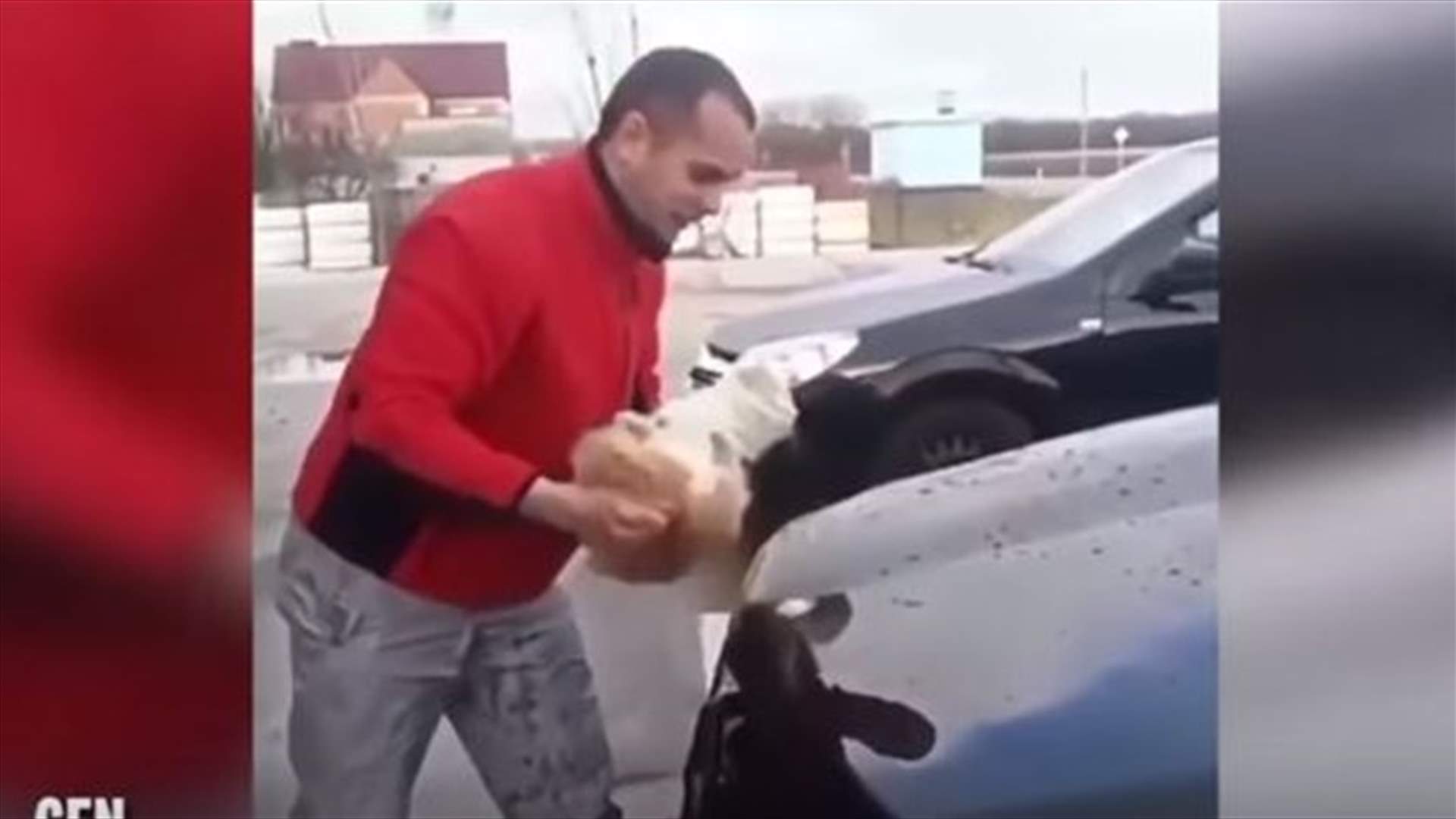 بالفيديو- موجة غضب على الإنترنت بسبب رجل يغسل سيارته باستخدام القط!
