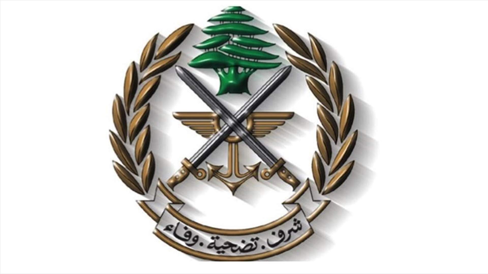 هذا ما أعلنه الجيش عن إشكال عرمون...