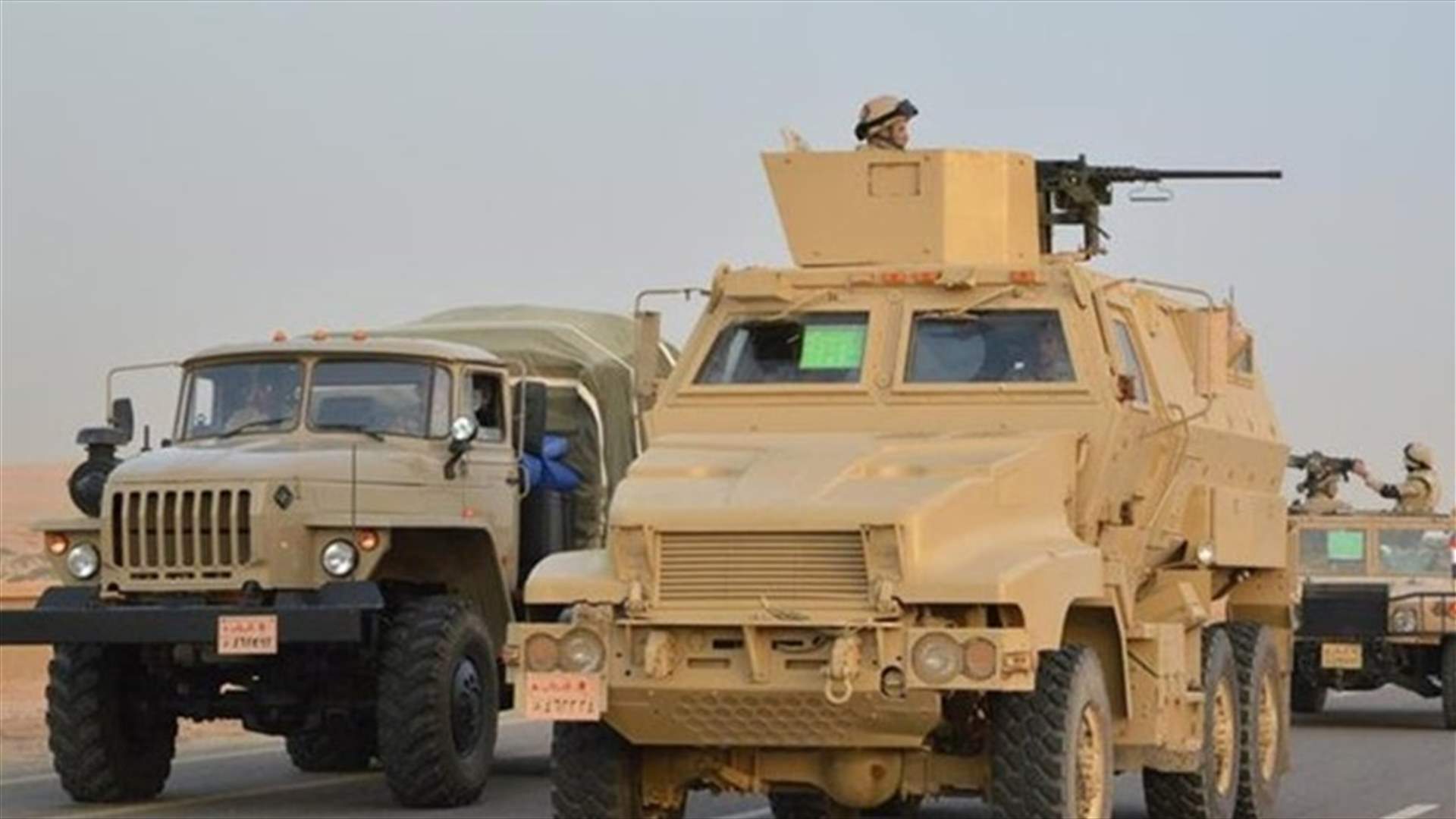 Egypt's military says killed 53 militants in week-long offensive