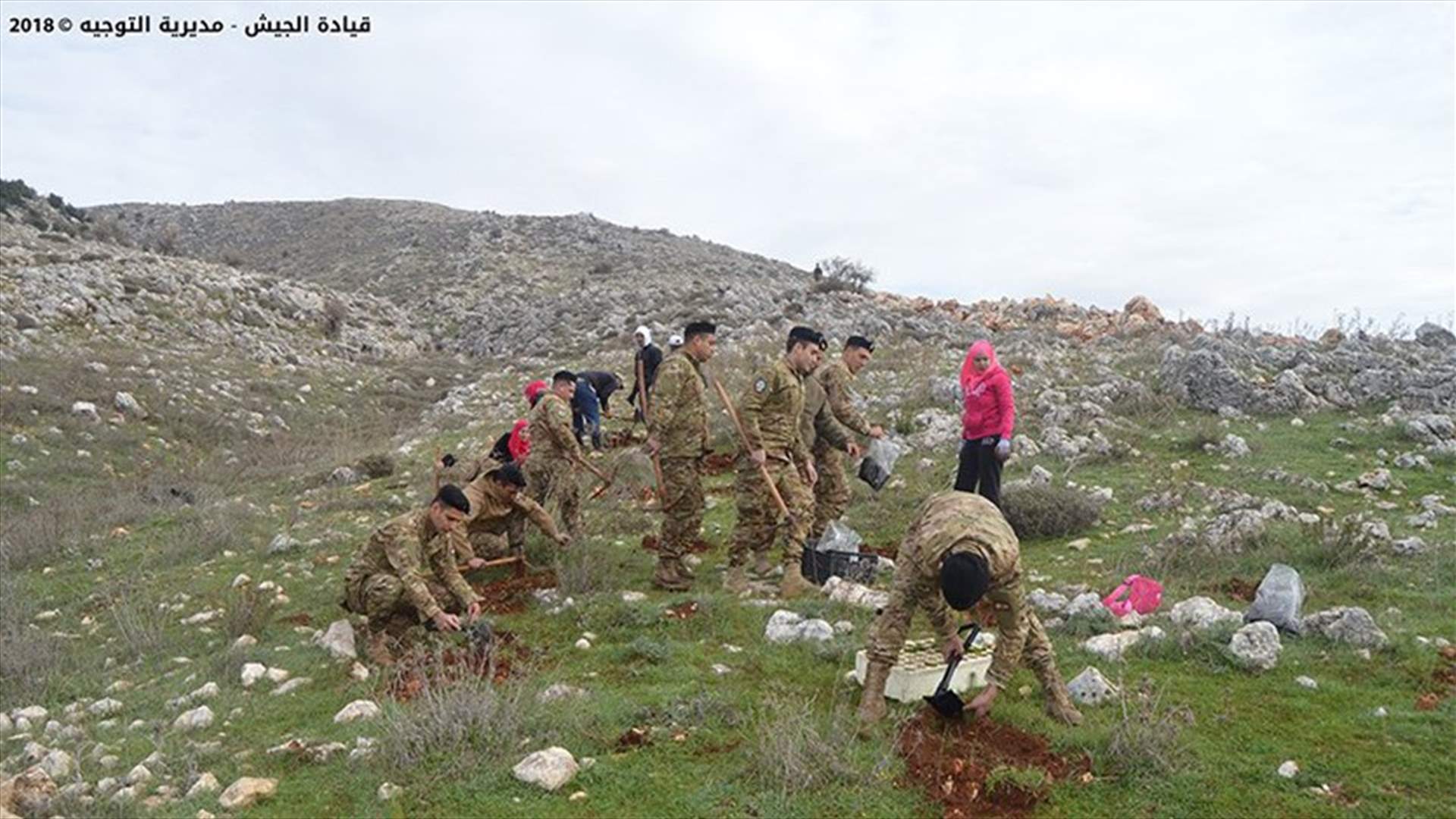 بالصور- غرس نحو 5000 شتلة في مناطق لبنانية بالتعاون بين الجيش وجمعية التحريج