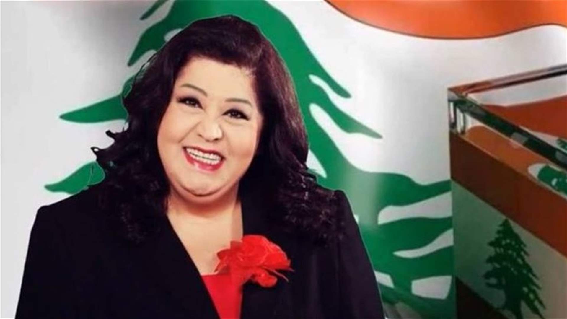 بالفيديو- أغنية ليليان نمري تجتاح الإنترنت: "نازلة عالنيابة حتى عبّي جيابي"