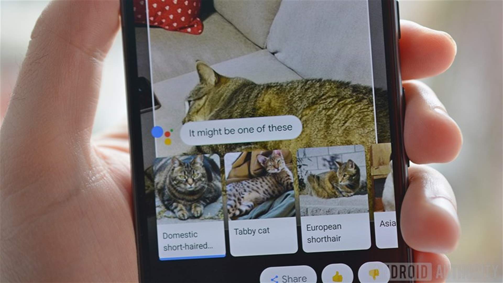 إطلاق تقنية Google Lens للتعرف على الصور وتحليلها