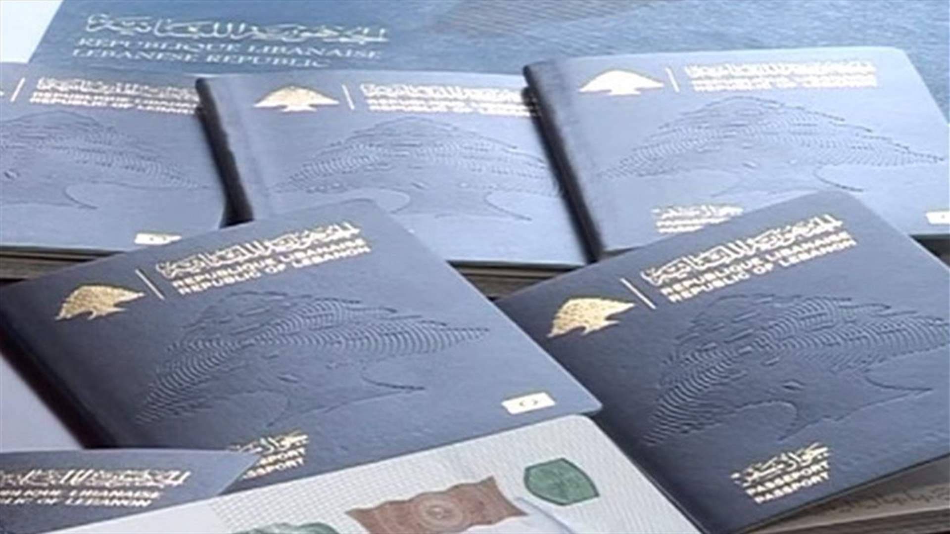 باسيل للبنانيين المغتربين: يمكنكم الحصول على جواز سفر جديد بألف ليرة فقط