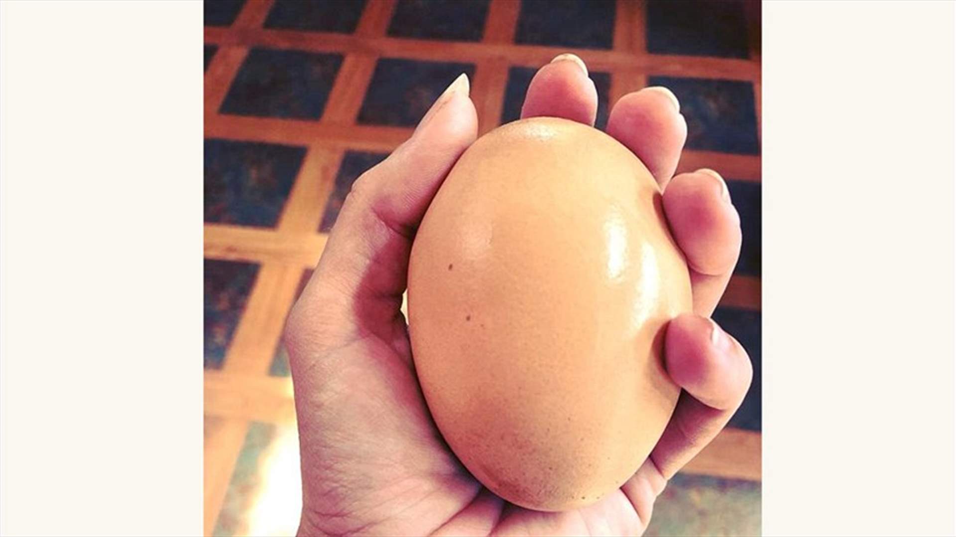 بالصور- العثور على بيضة ضخمة بحجم اليد... لن تصدّقوا ماذا يوجد في داخلها!