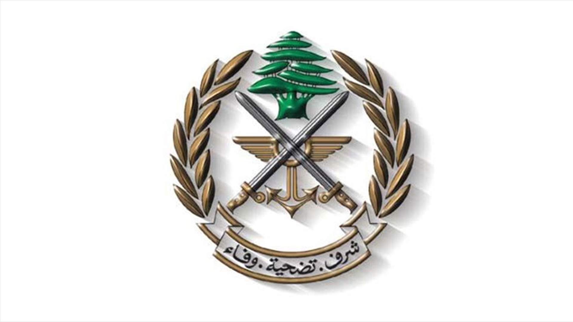 بالصورة - ضبط عبوتين ناسفتين معدّتين للتفجير في جرود رأس بعلبك