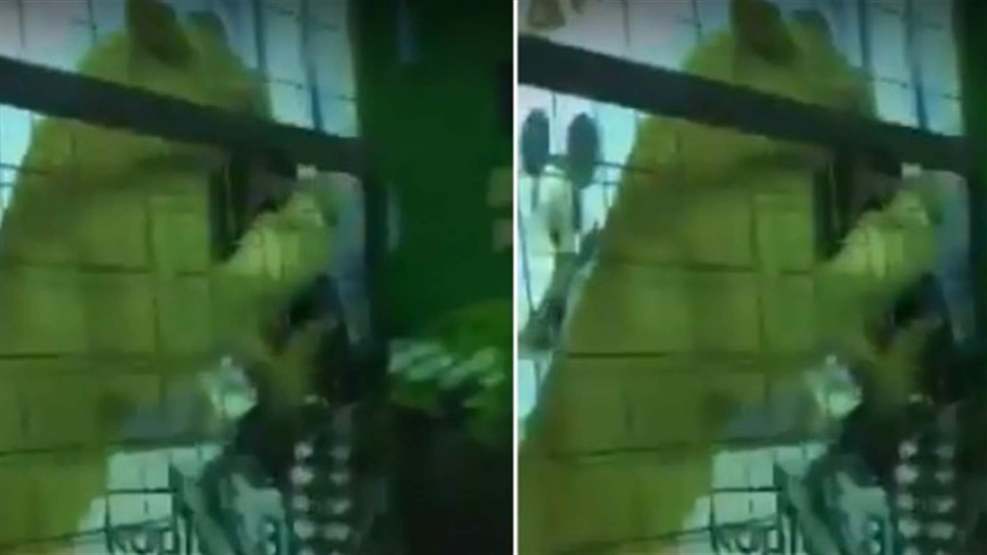 بالفيديو – أسد ينقضّ على طفلة الخمسة أعوام في السعودية!
