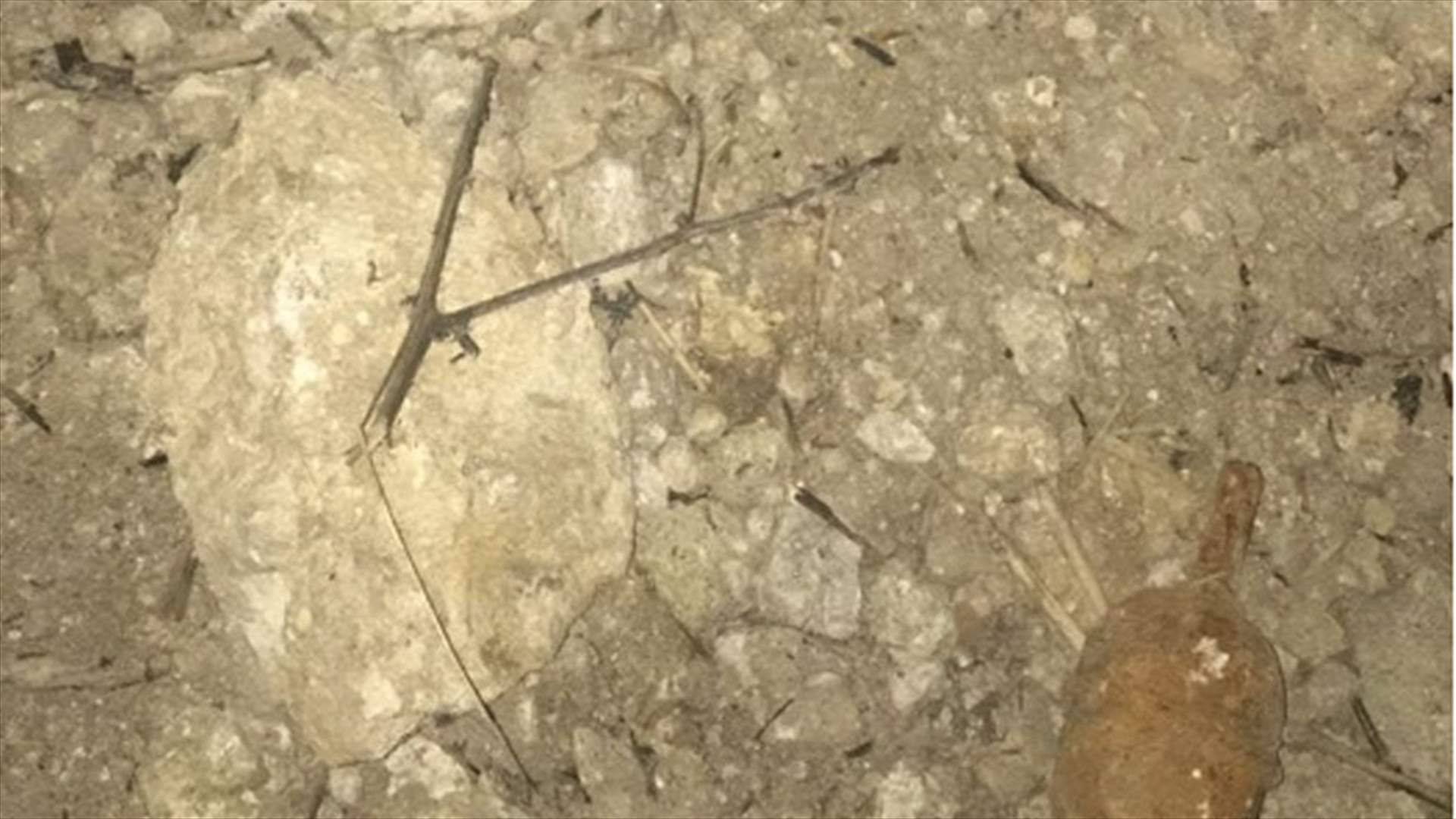 العثور على 4 قنابل يدوية قديمة العهد في خراج مجدلا عكار