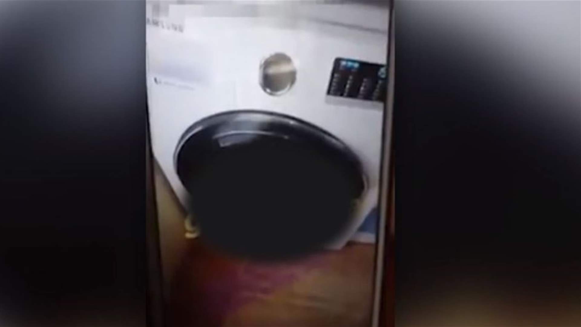 فيديو أثار غضب الناس... شابة تقتل هراً بوضعه في الغسالة