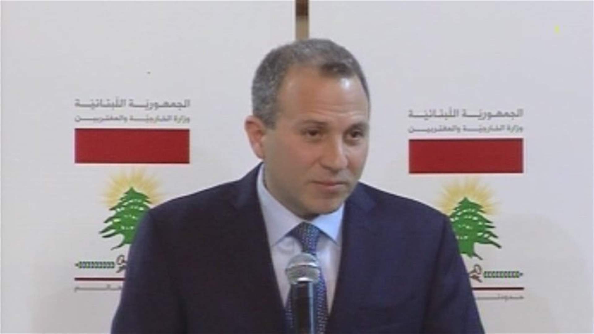 Bassil presents draft law allowing women to pass nationality to children