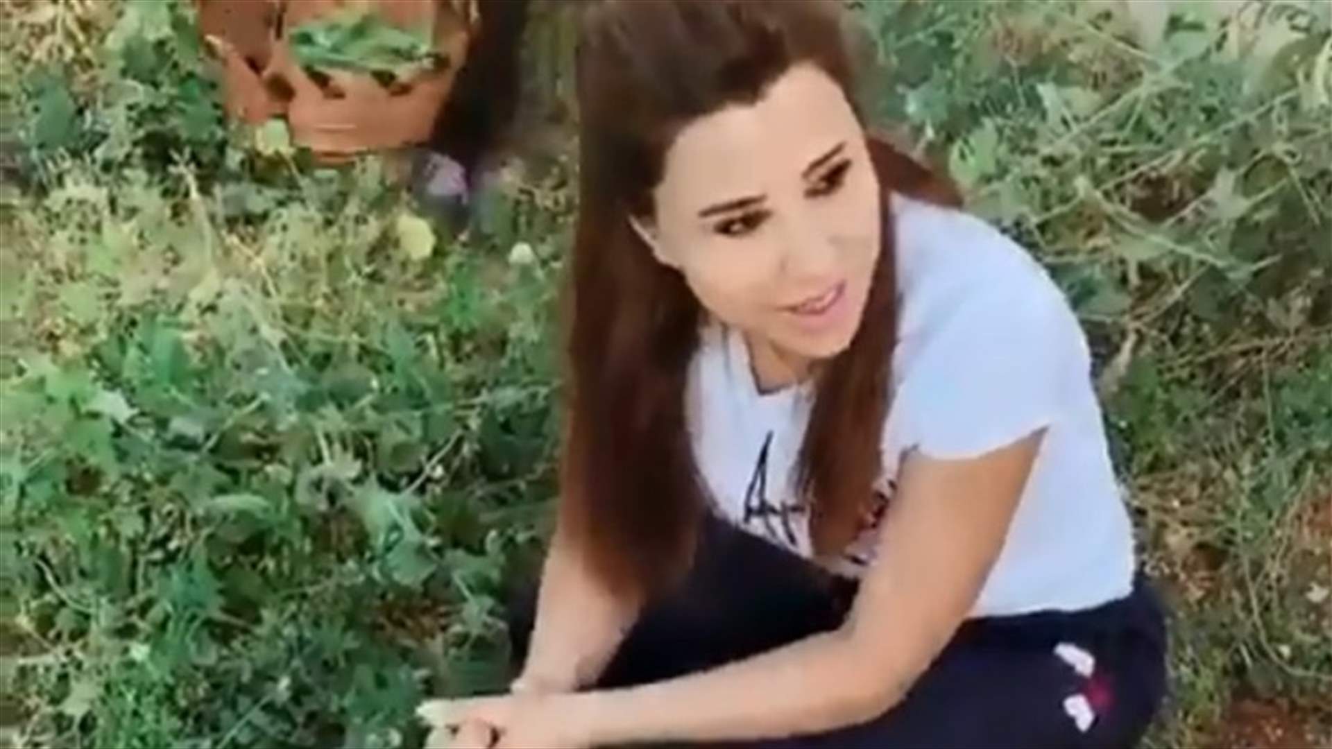 بالفيديو- لمّا تنزل نجوى كرم وسيرين عبدالنور ع البستان.. شوفوا شو بيصير!