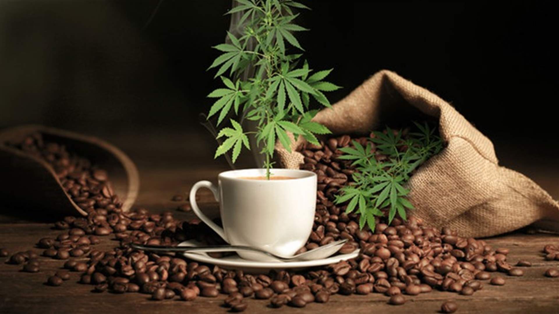 شرب هذه الكمية من القهوة يعادل تدخين سيجارة حشيش!