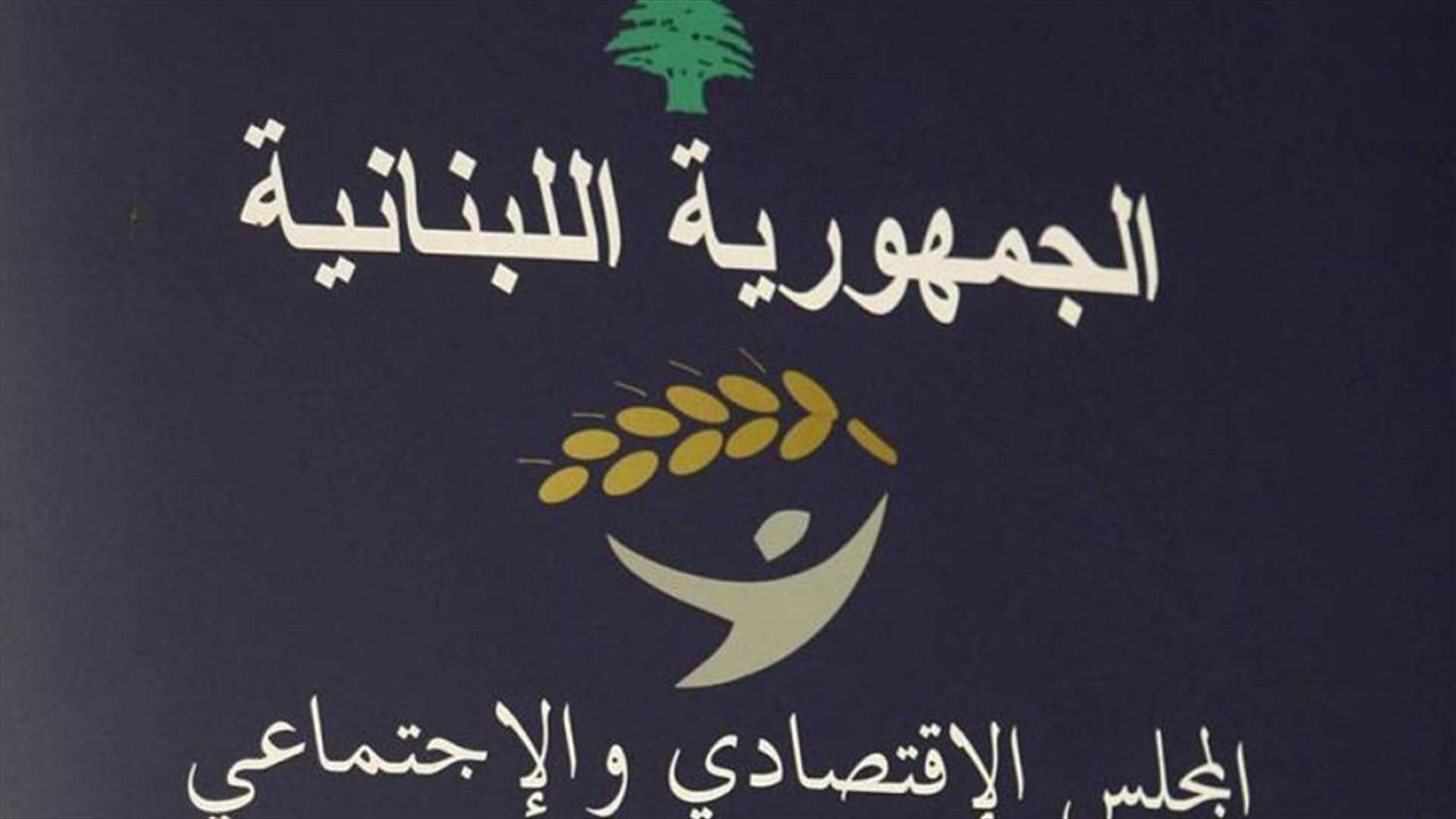 المجلس الاقتصادي الاجتماعي :لاعطاء حوافز للمؤسسات لاستخدام أجراء لبنانيين جدد